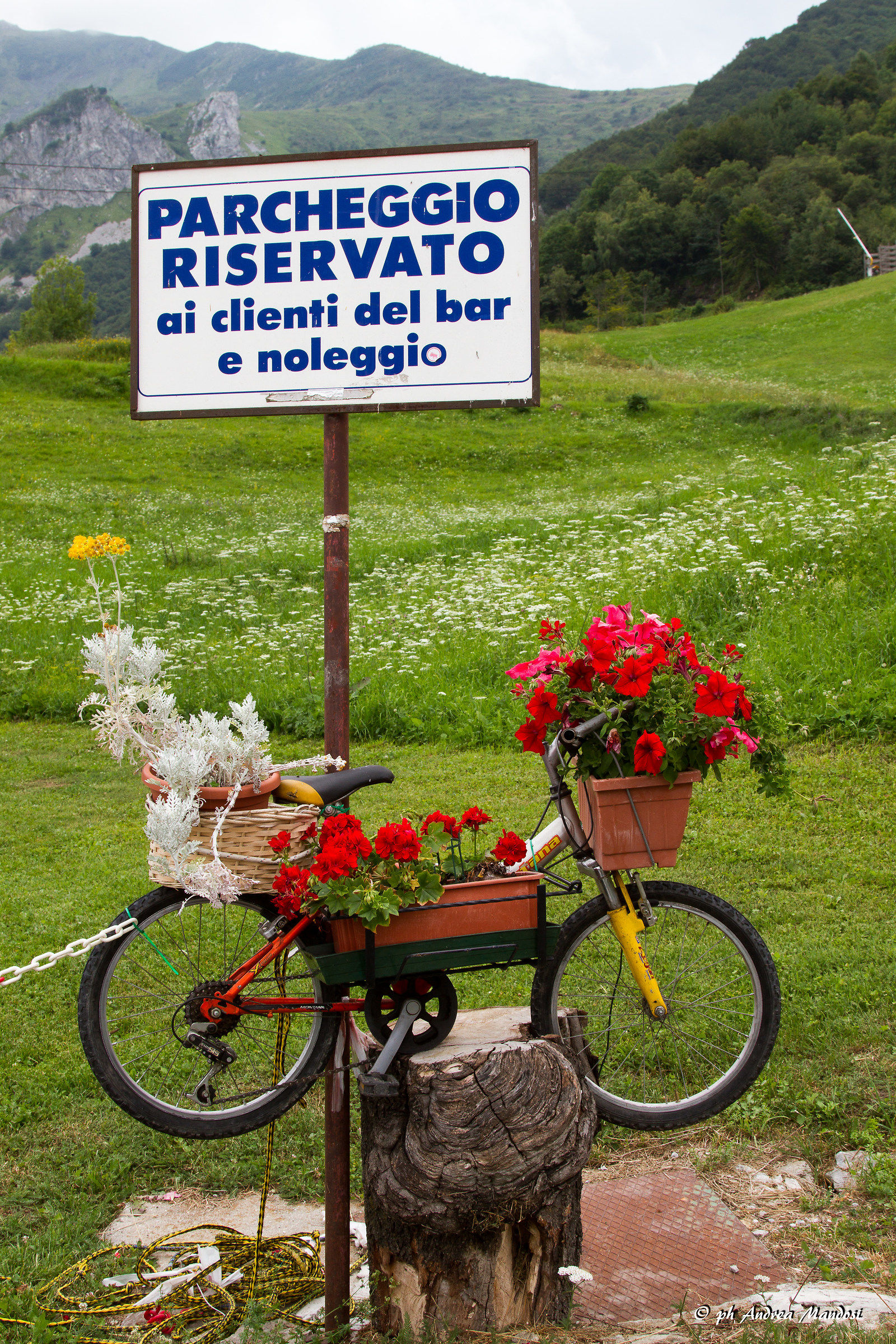 Il vino...è ottimo!