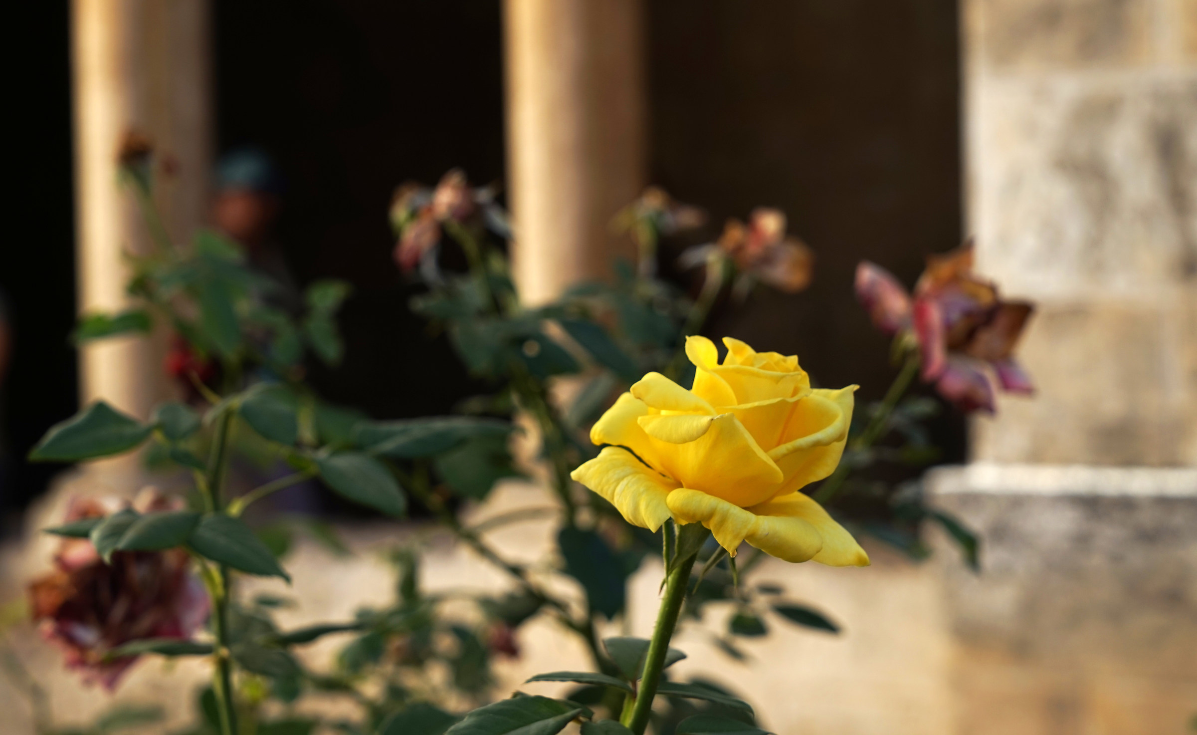Basilica della Nativita a Betlemme