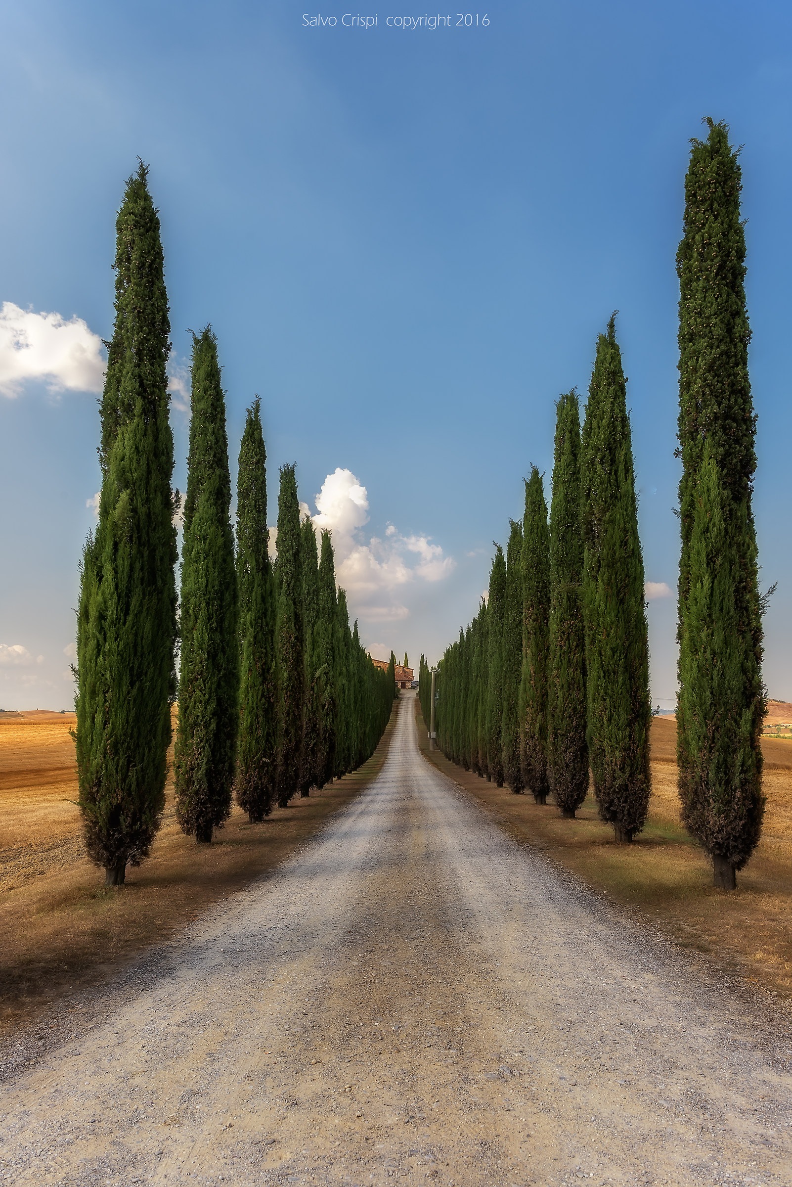 In fondo....solo poesia