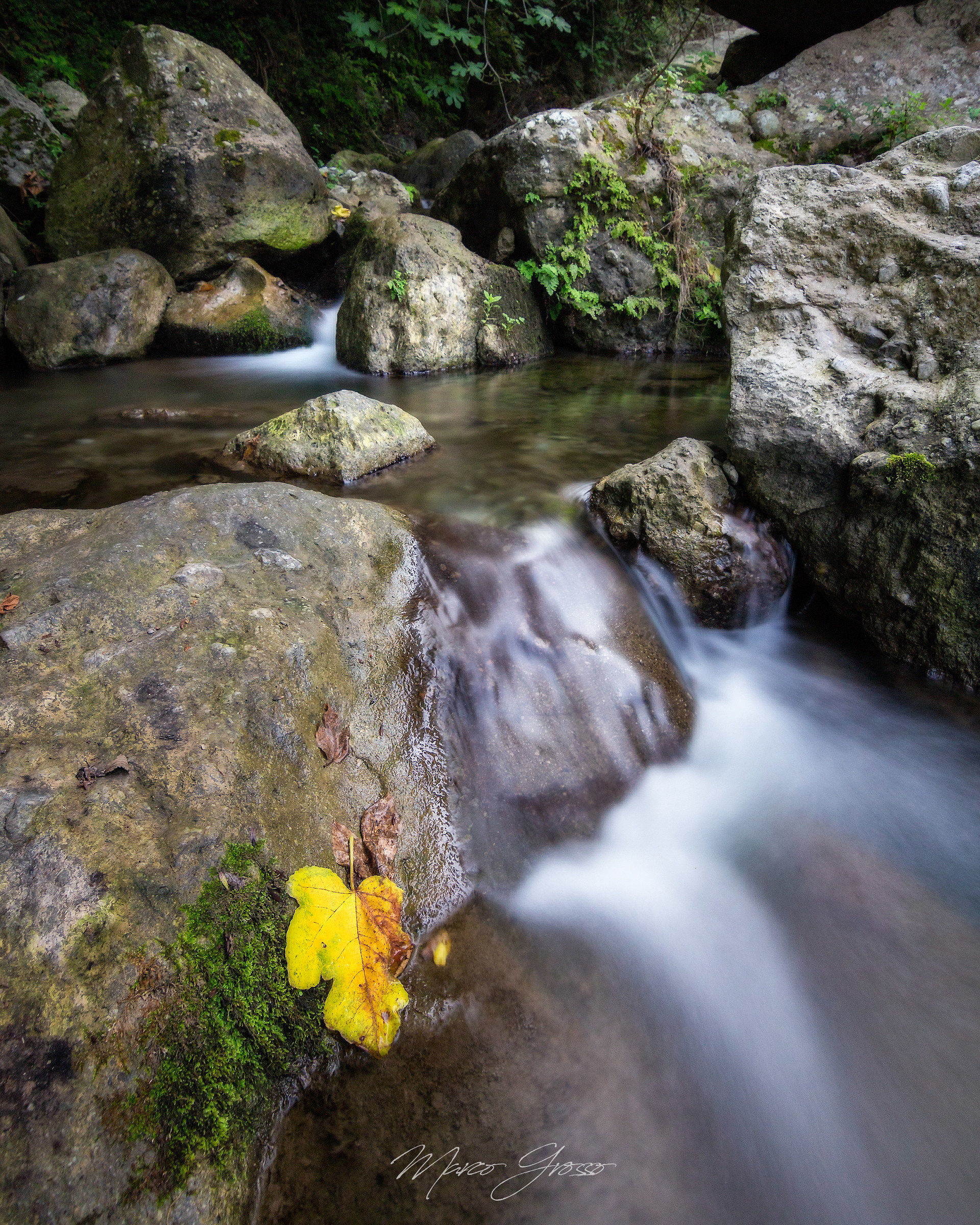 L'autunno è alle porte