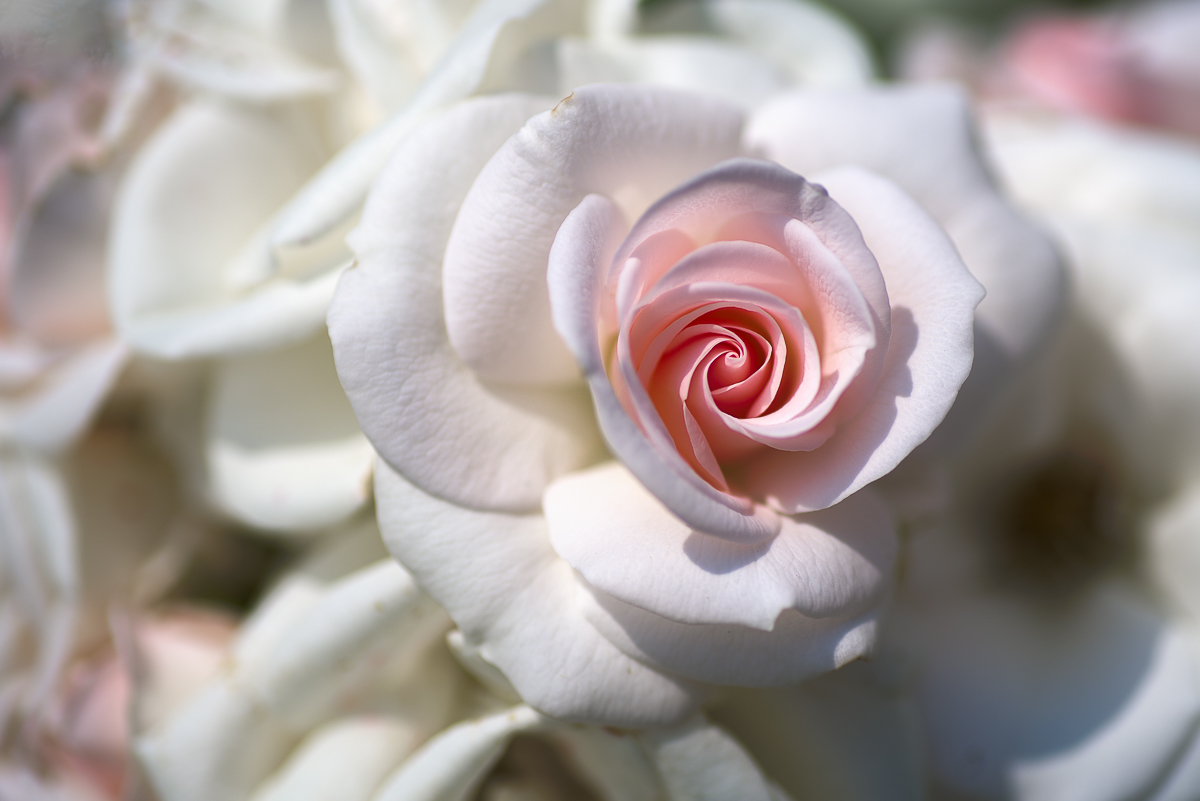 He put love above everything