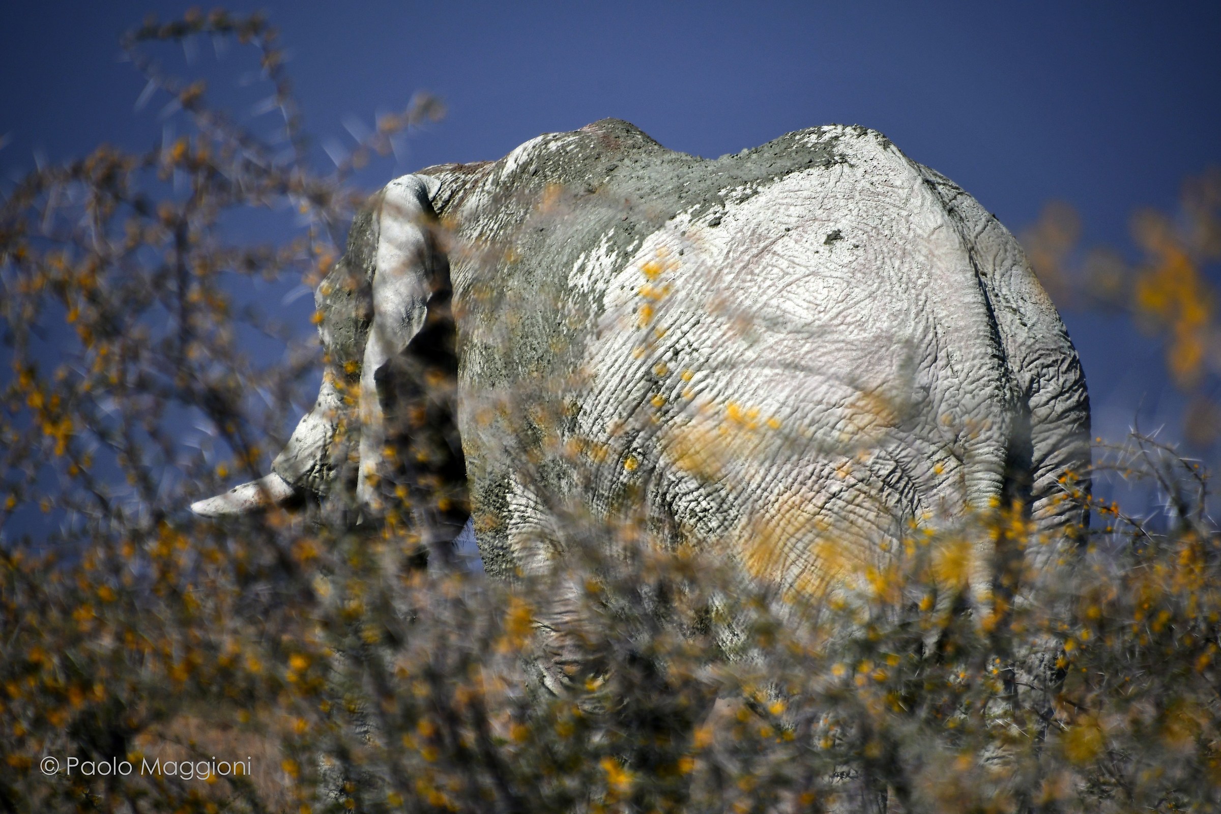 After the sludges...