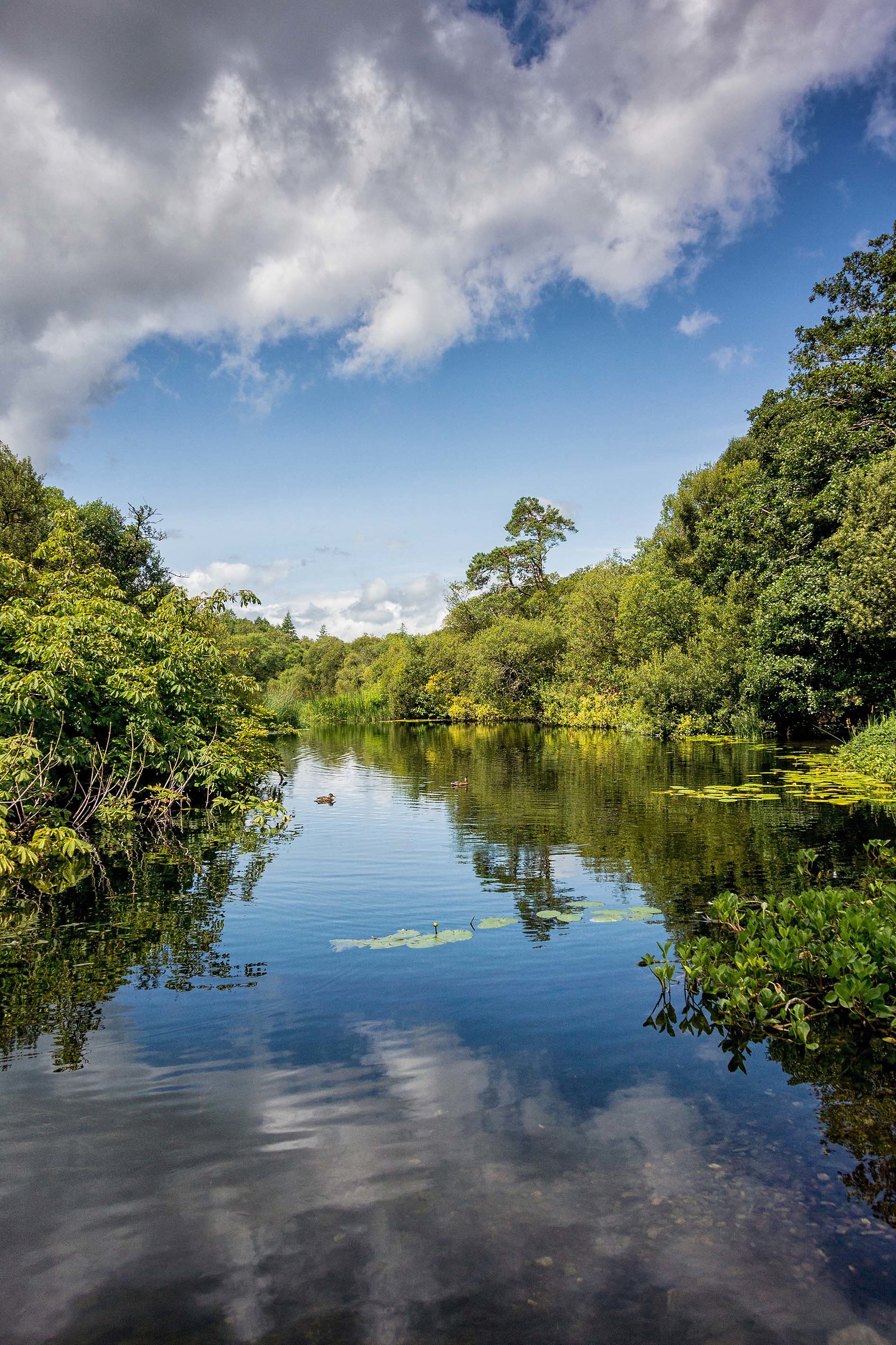 Wandering in Ireland