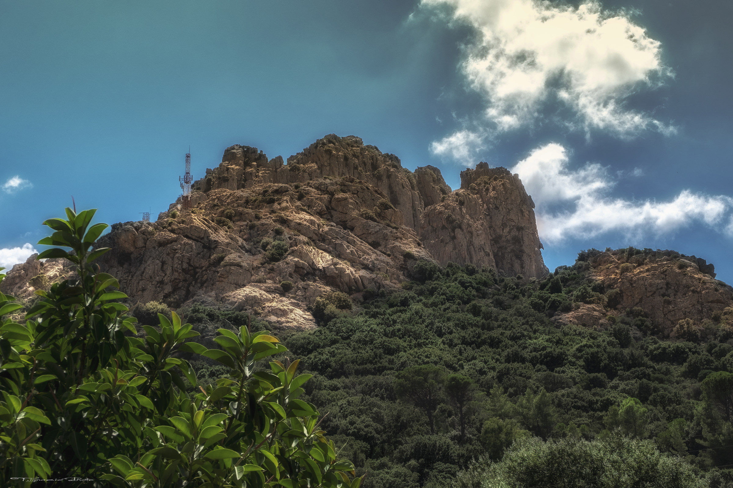 SA Spendula Villacidro