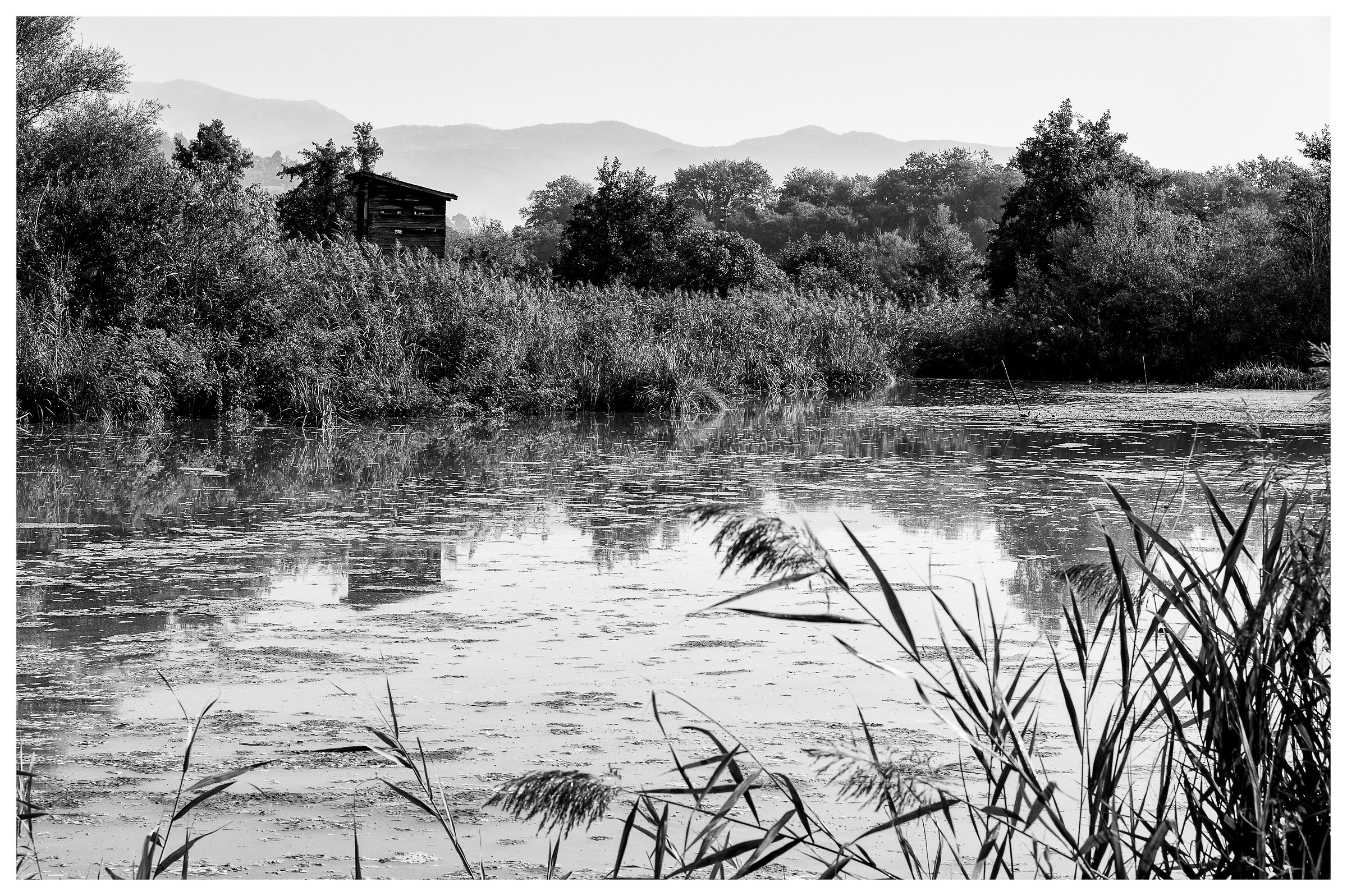 The valley of the Tiber...