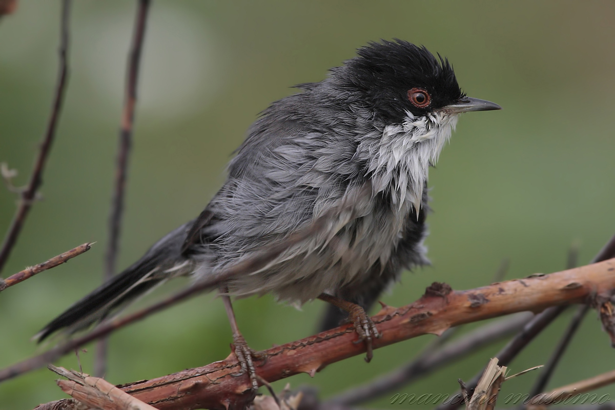 I'm not ready waiting