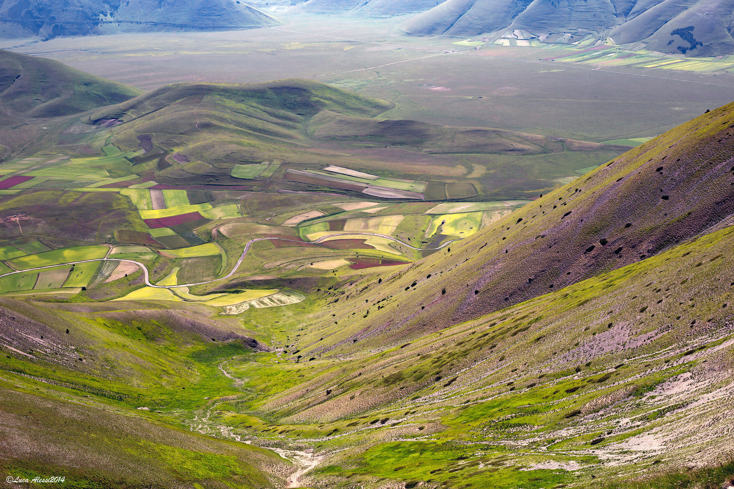 Volando con lo sguardo