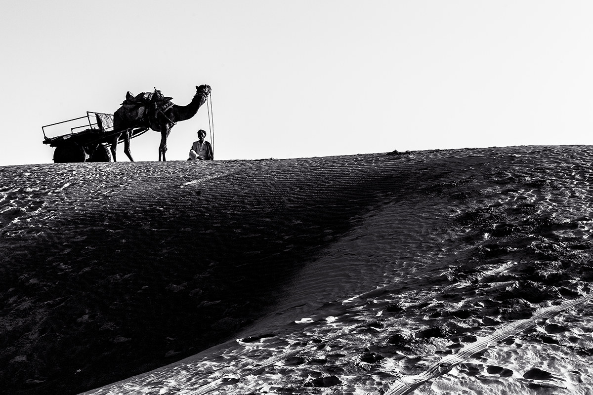 Un pacchetto di Camel Light.