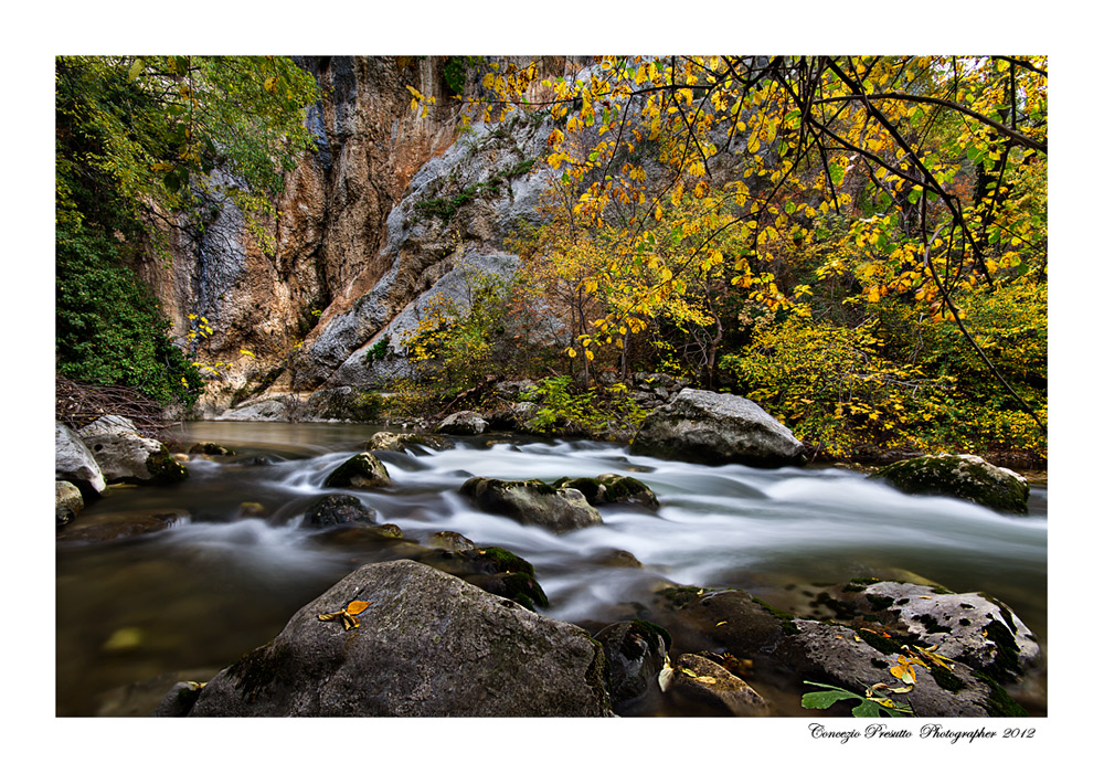 Sofficemente....Autunno