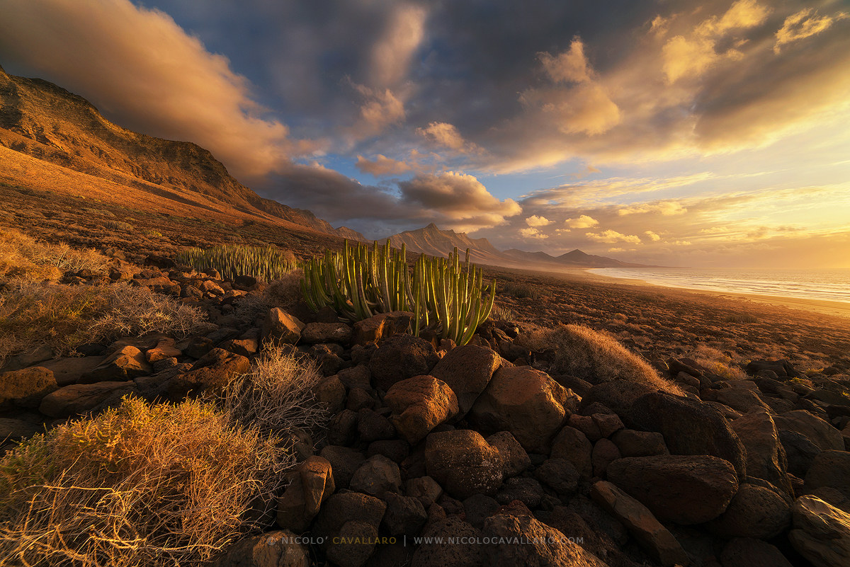 Fuerteventura - Cofete sunset