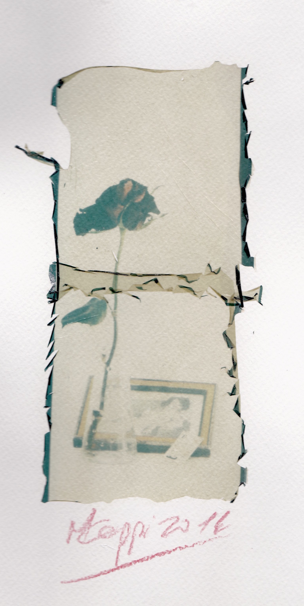 I'm not the only ones