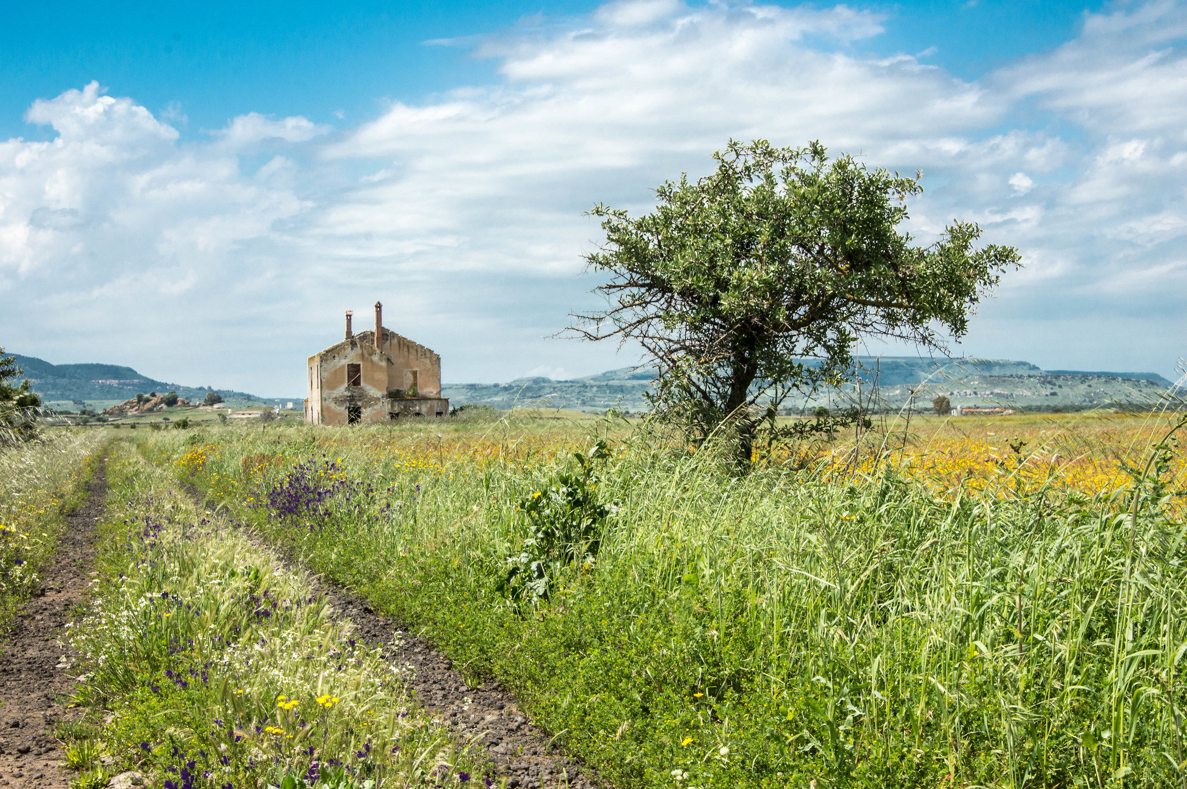 Walking discover that....