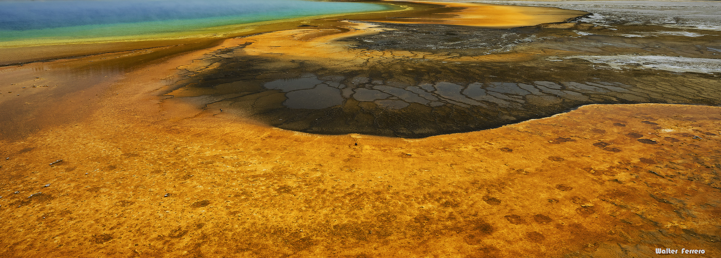 Prismatik SPRING YELLOWSTONE