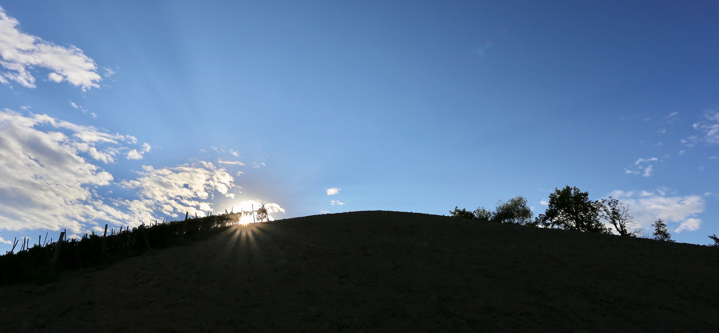 La luce splende dove c'è oscurità (Franci ...