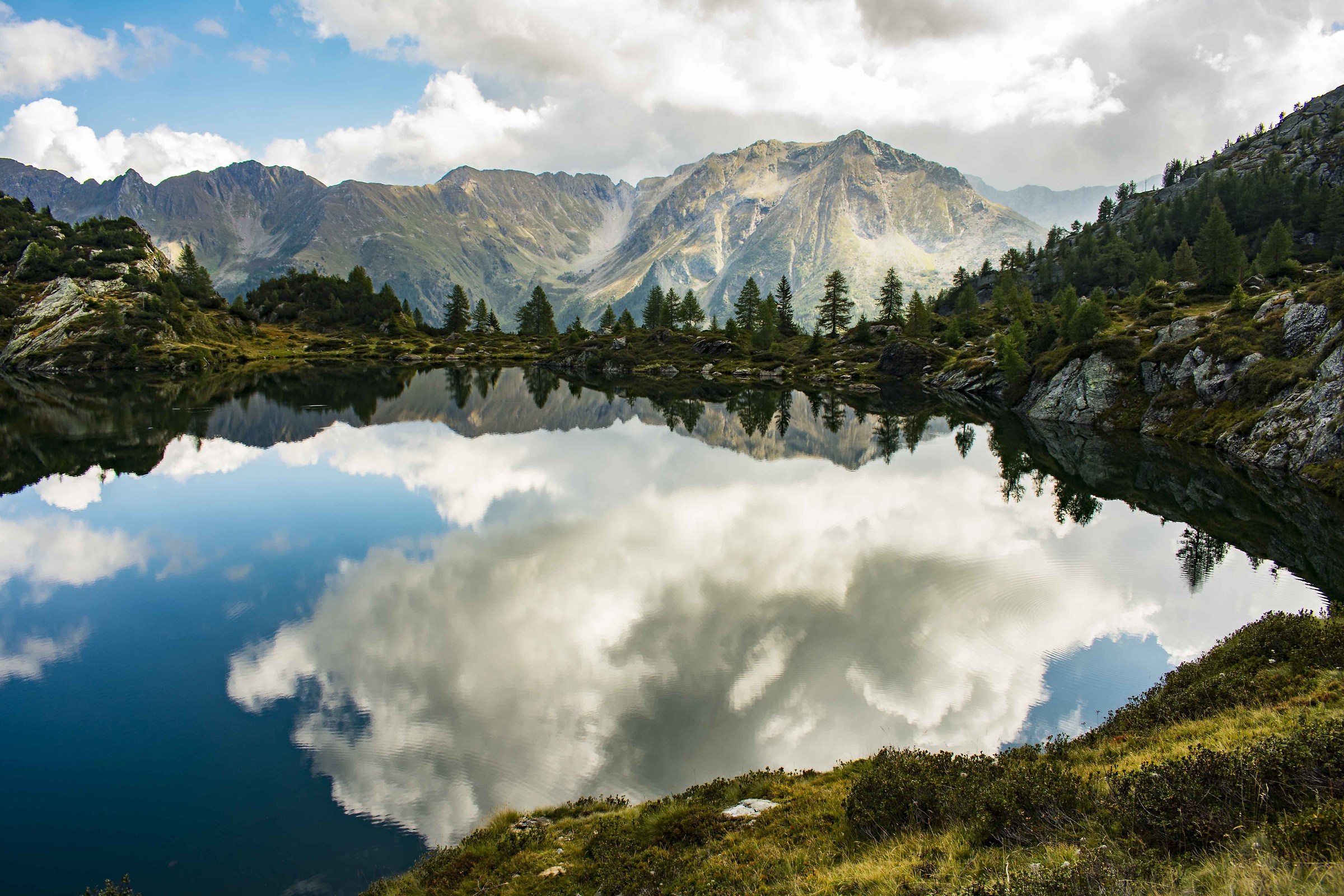 Mirror, mirror of my desires