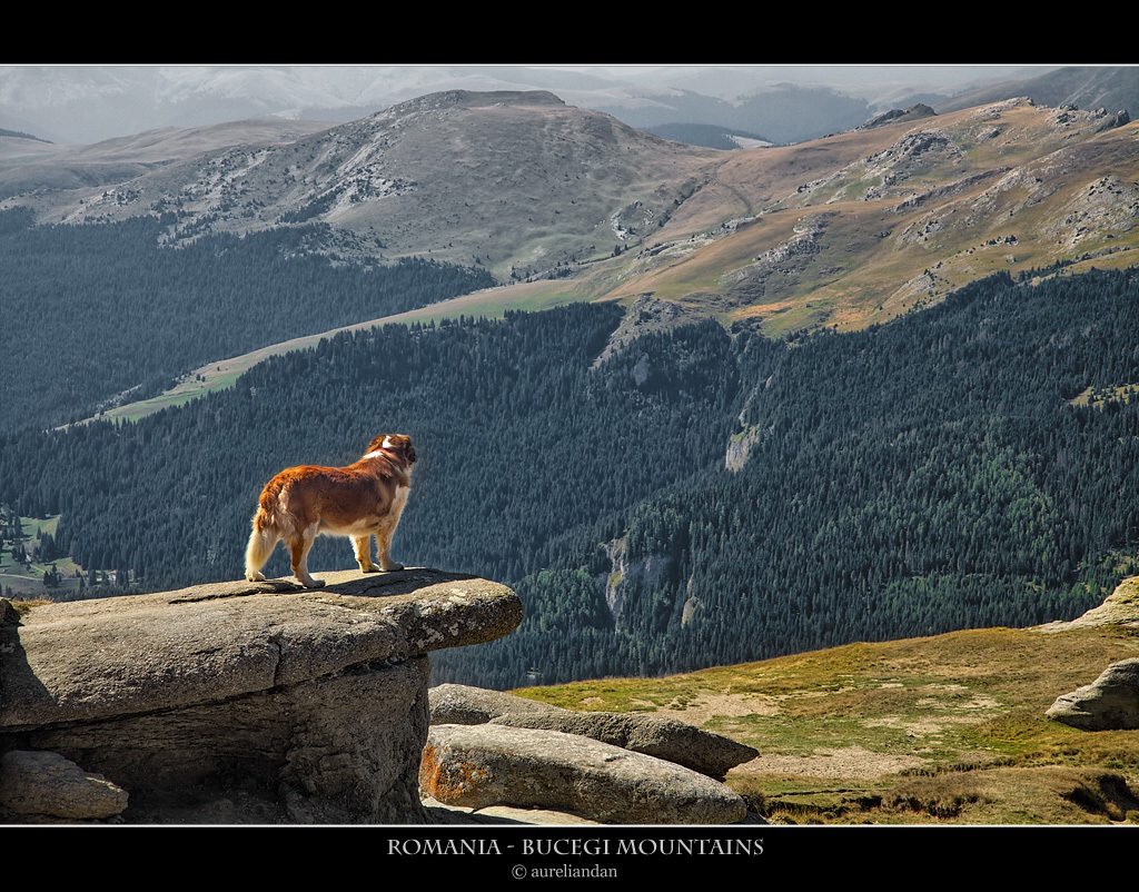 Montagne Bucegi - Romania