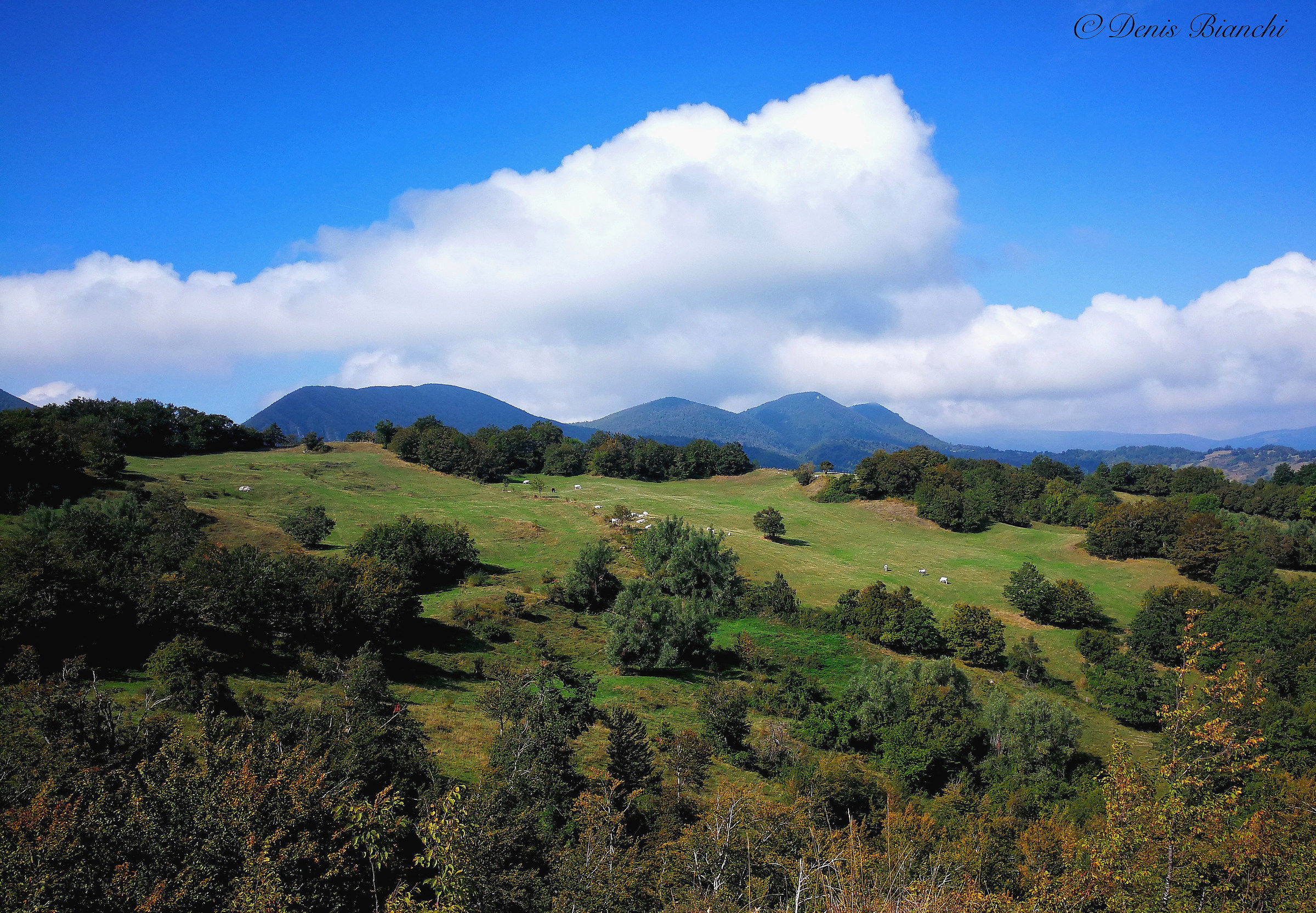 How much and beautiful Mother Nature