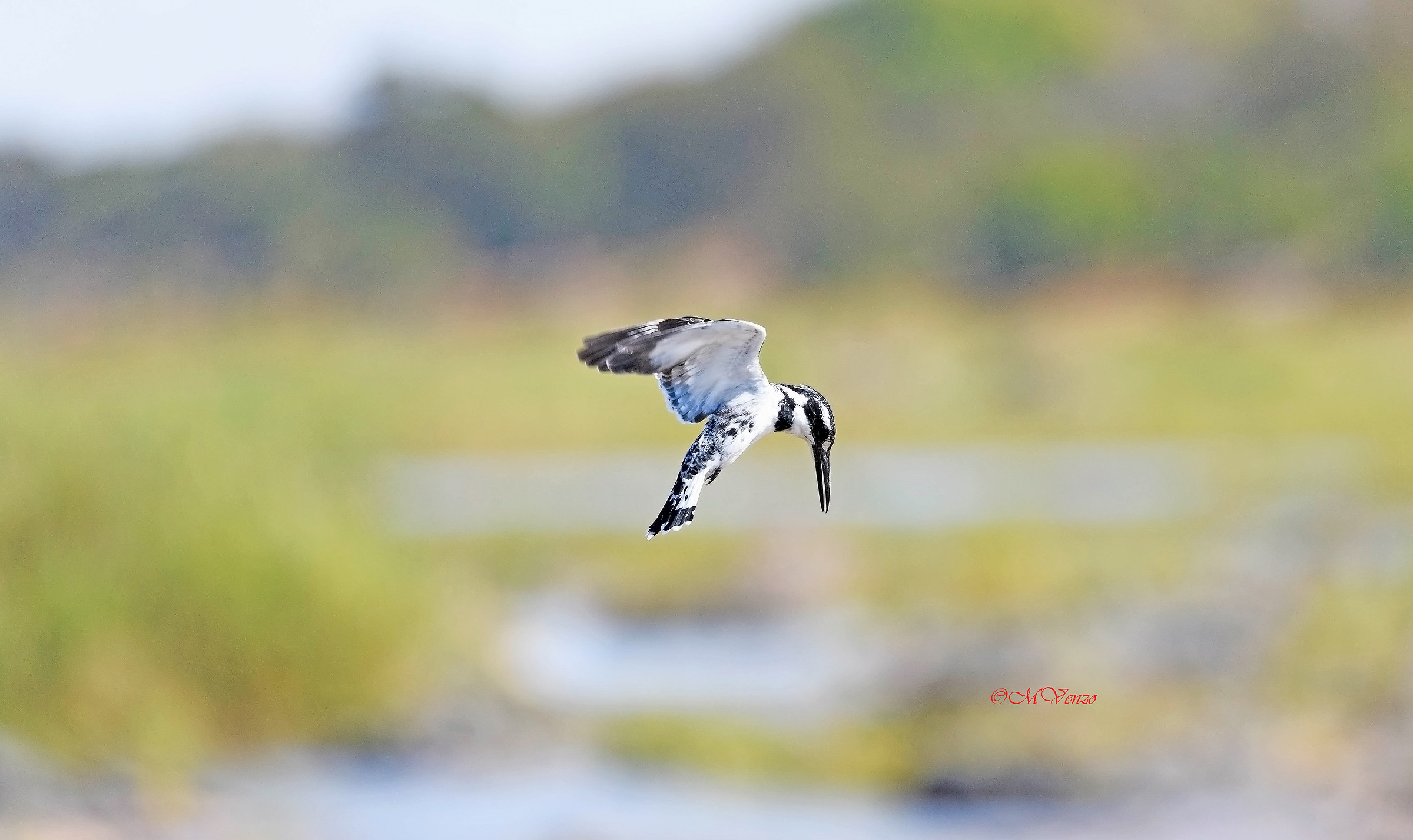 south Africa botswana