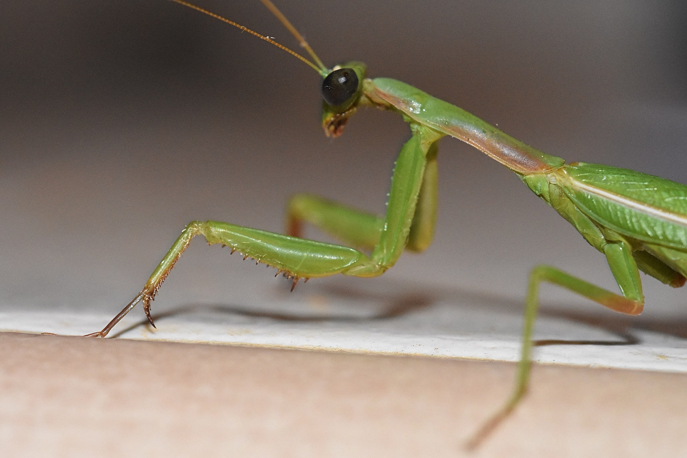 A late summer evening