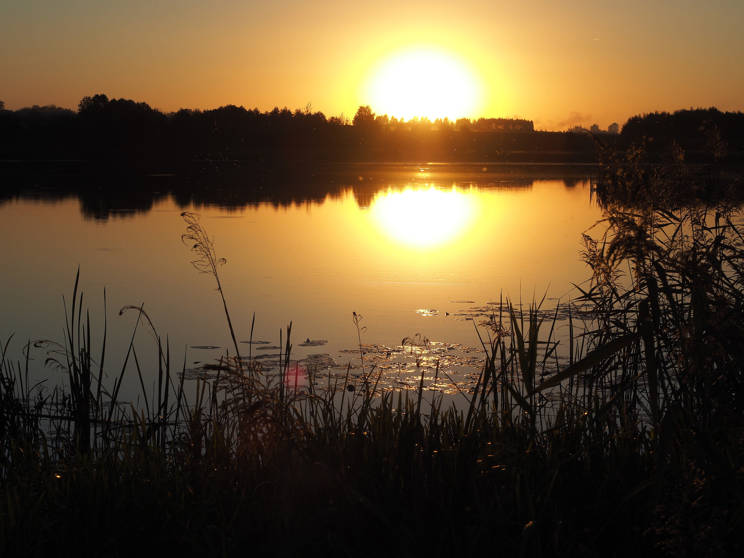 Sunset on the Drzewiczka river