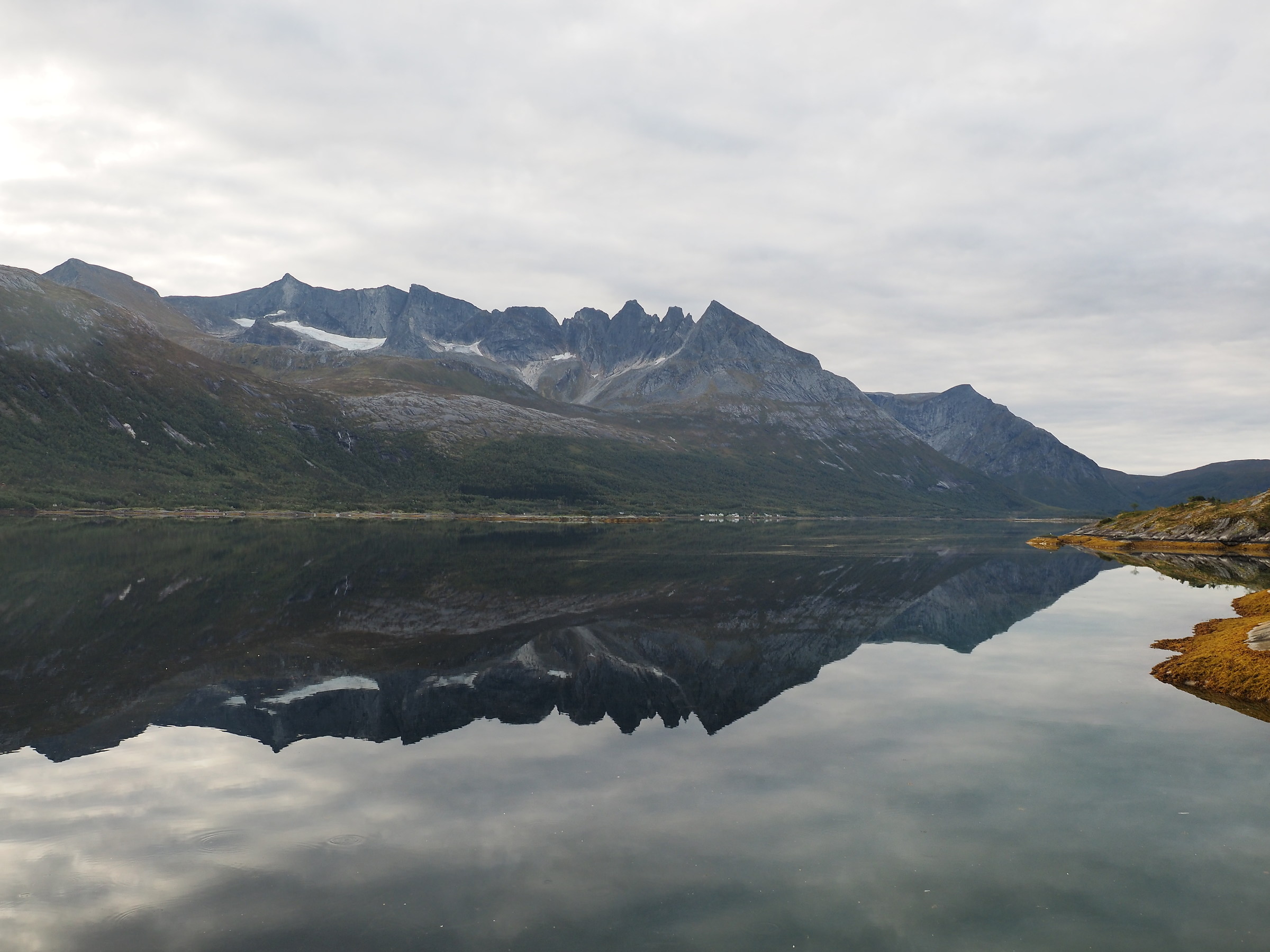 one day I will write a book about reflections