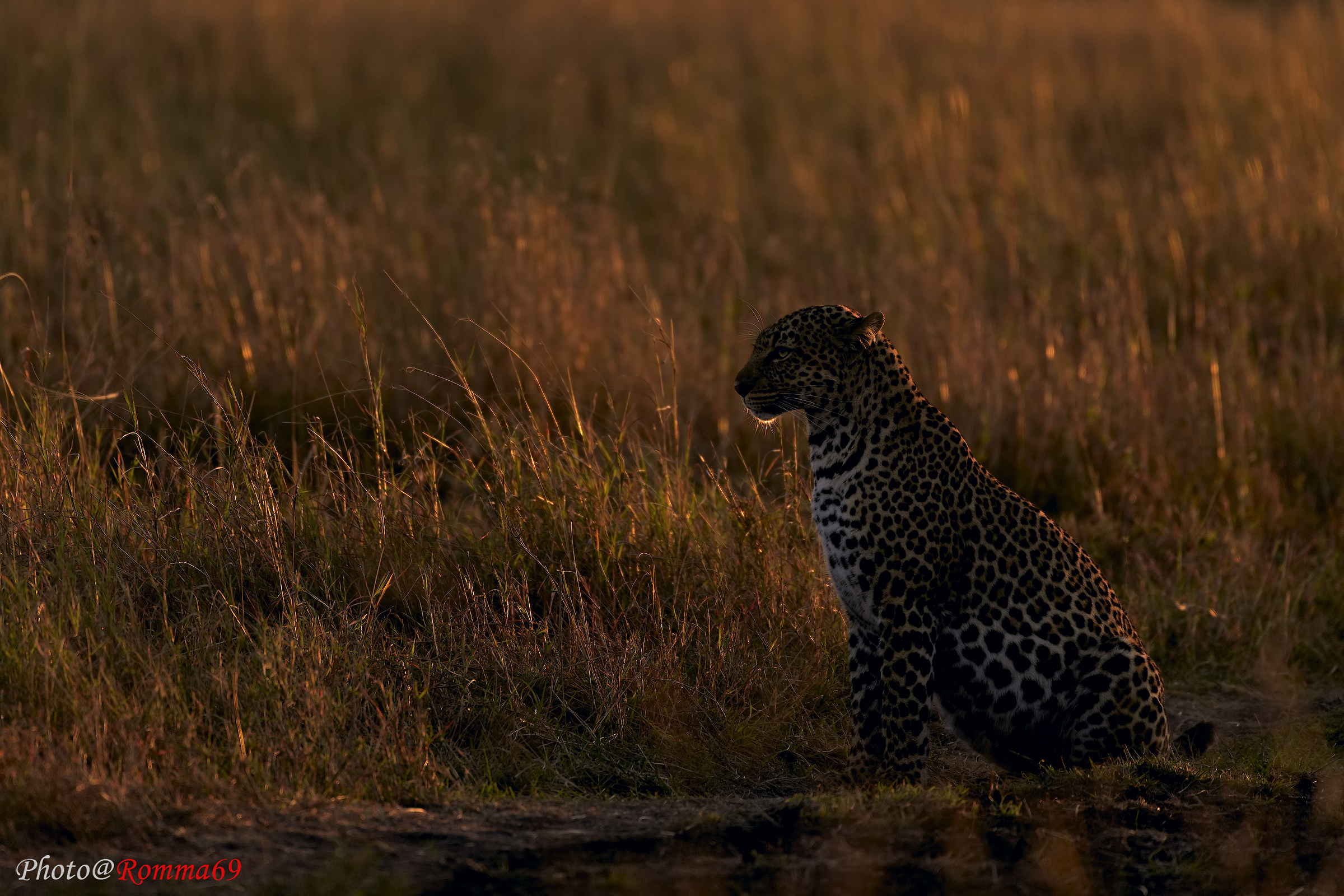 Mi godo le prime luci del giorno