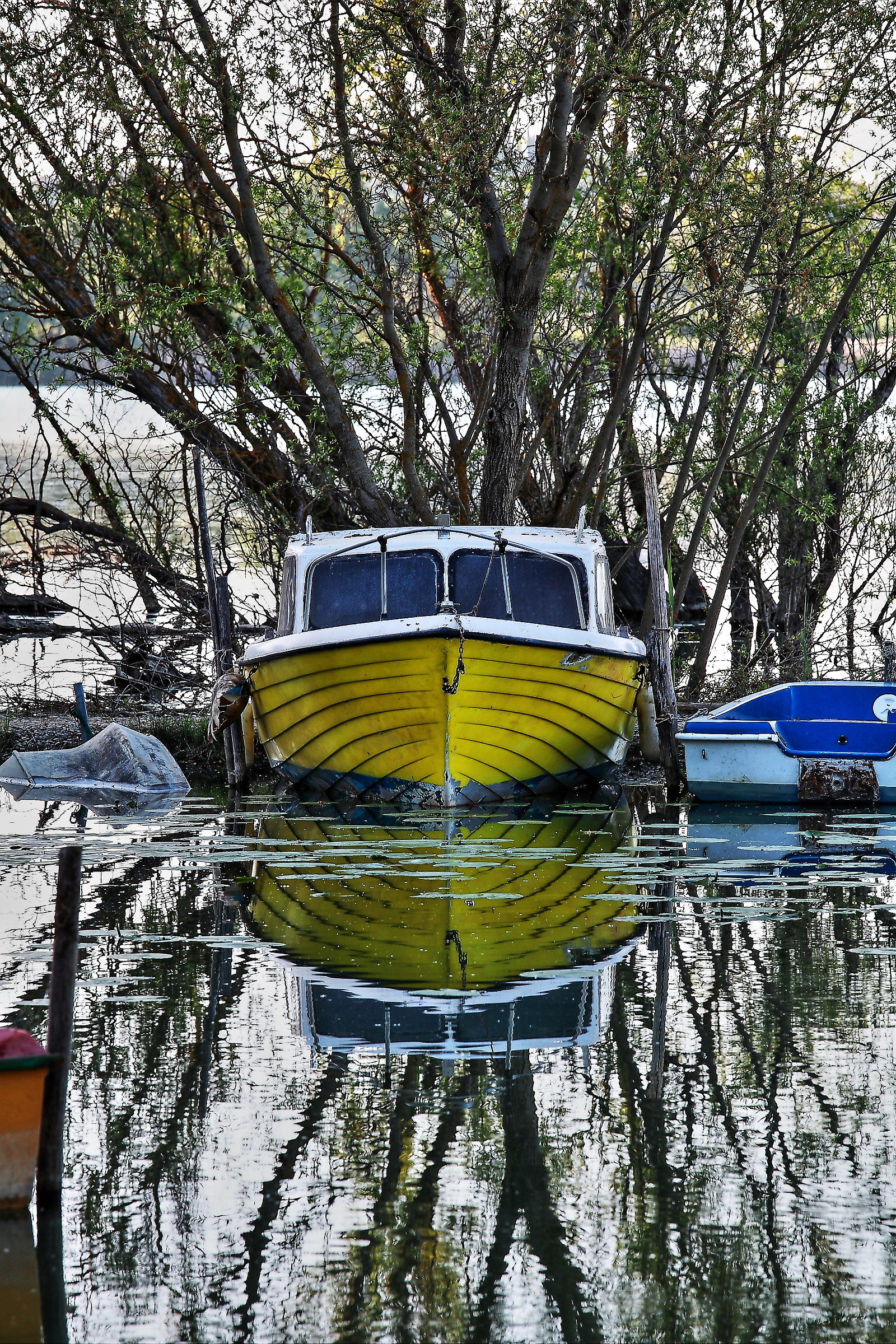 Reflected the in the lake of Chiusi