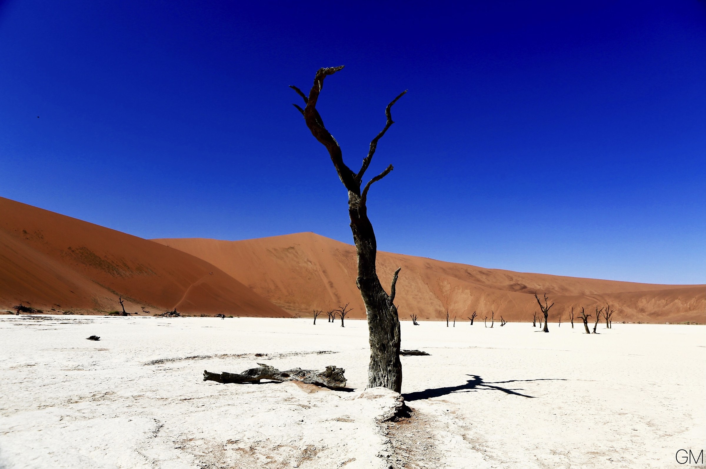 Deadvlei, Sossusvlei