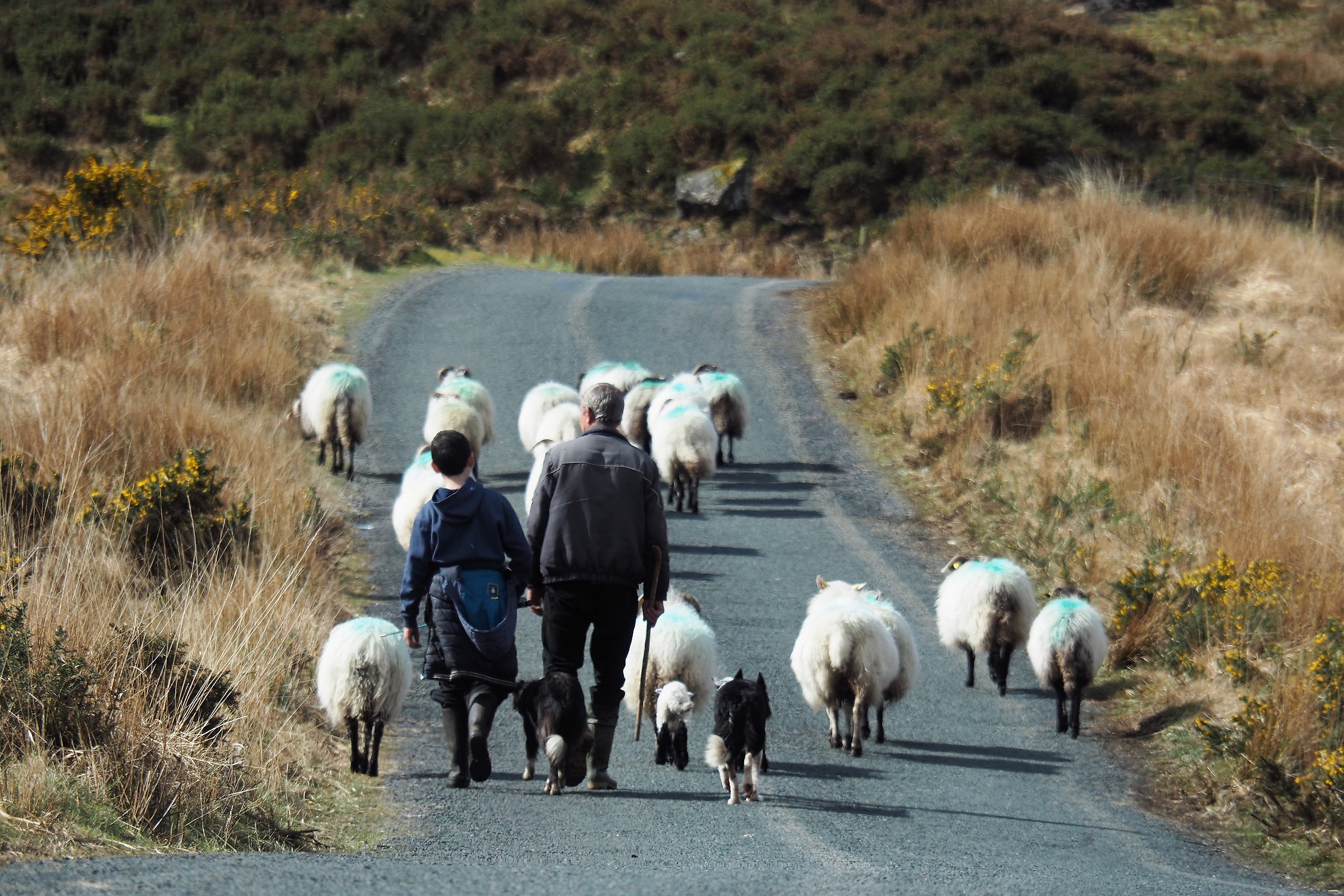 ...the Cork and Kerry mountains...