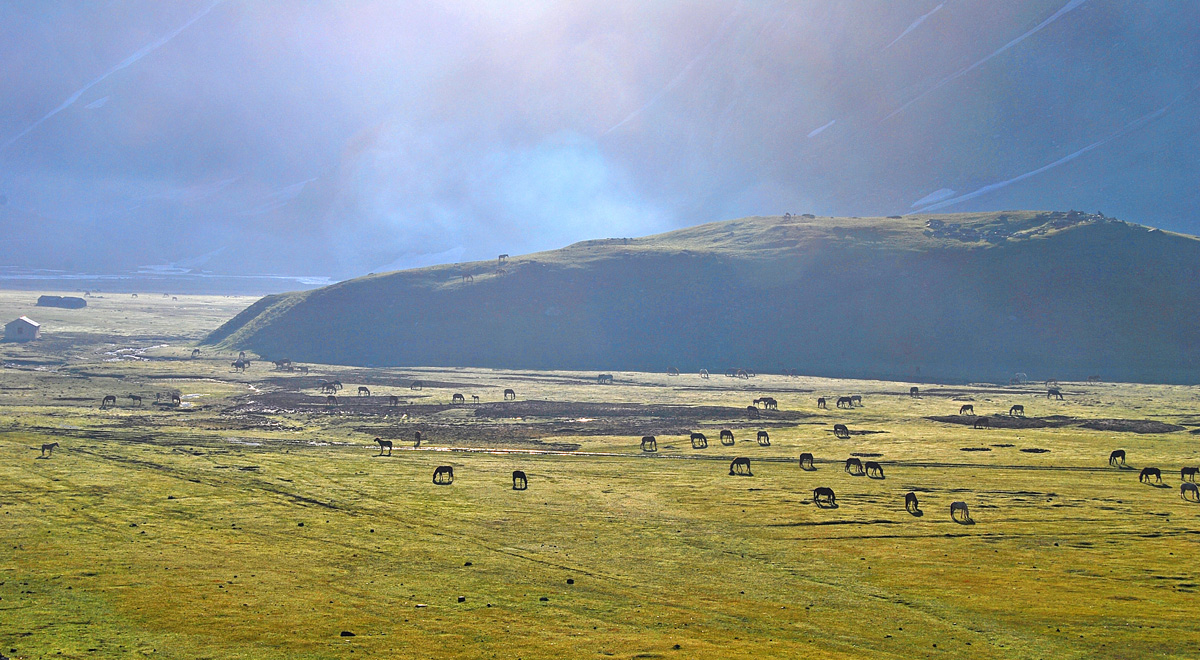 Sunrise on the Zoji La