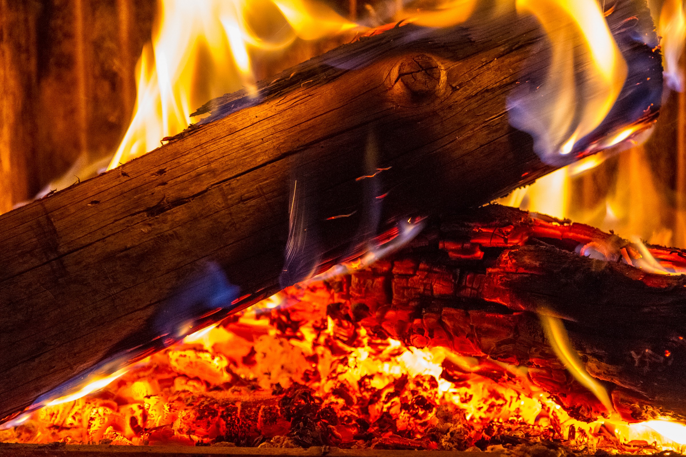 Dopo la passeggiata nei boschi