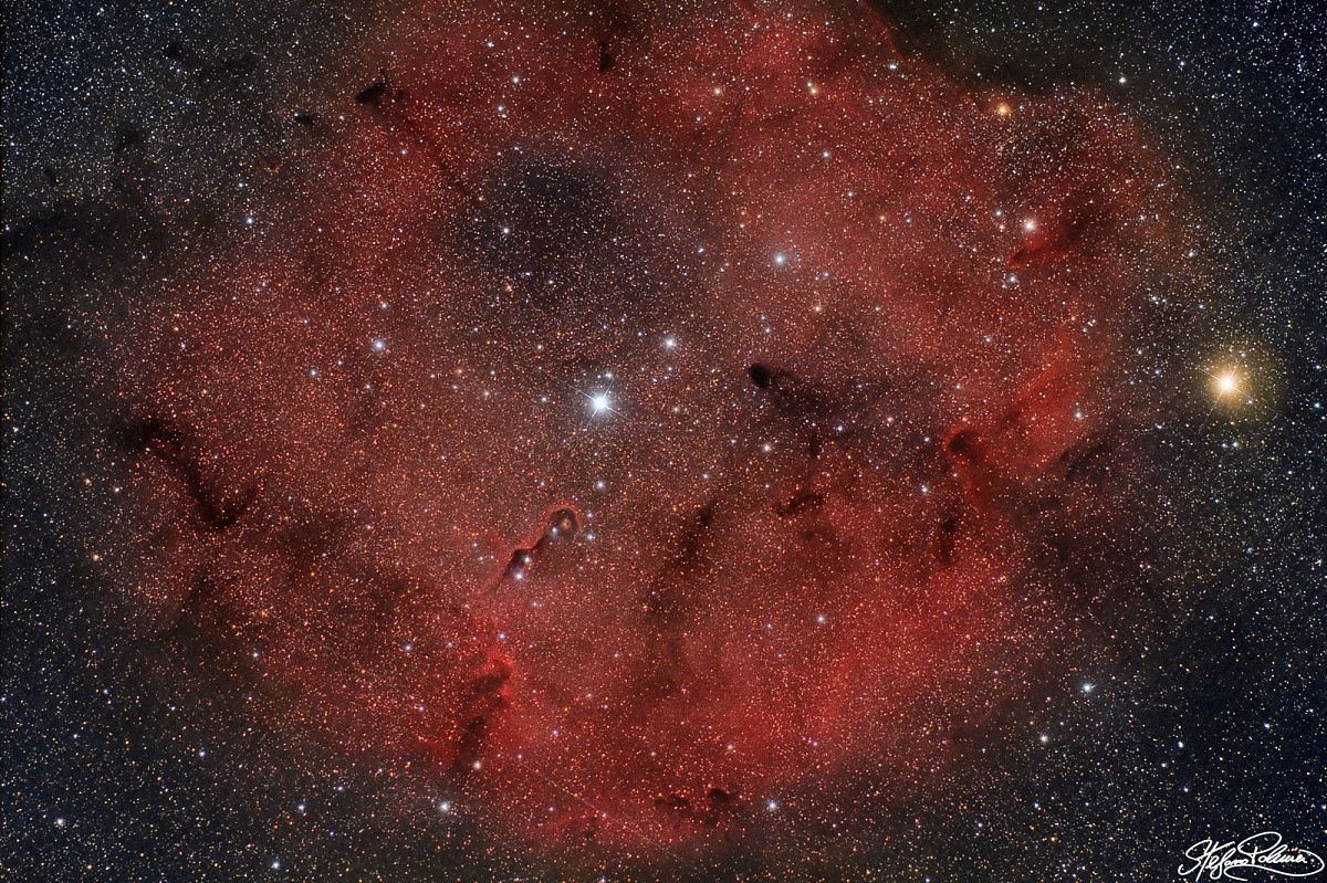 IC 1396 in Cefeo
