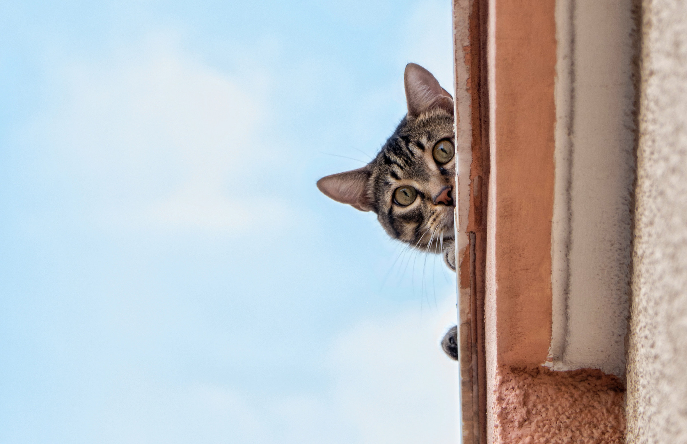 The upstairs neighbor