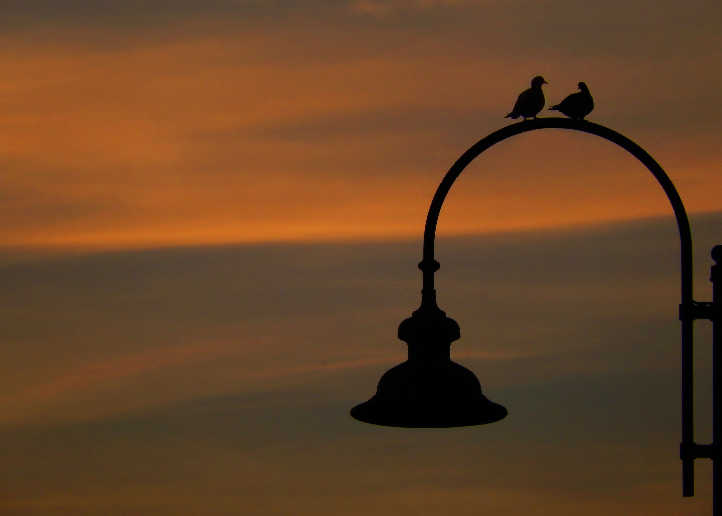 Incontro alla sera ..