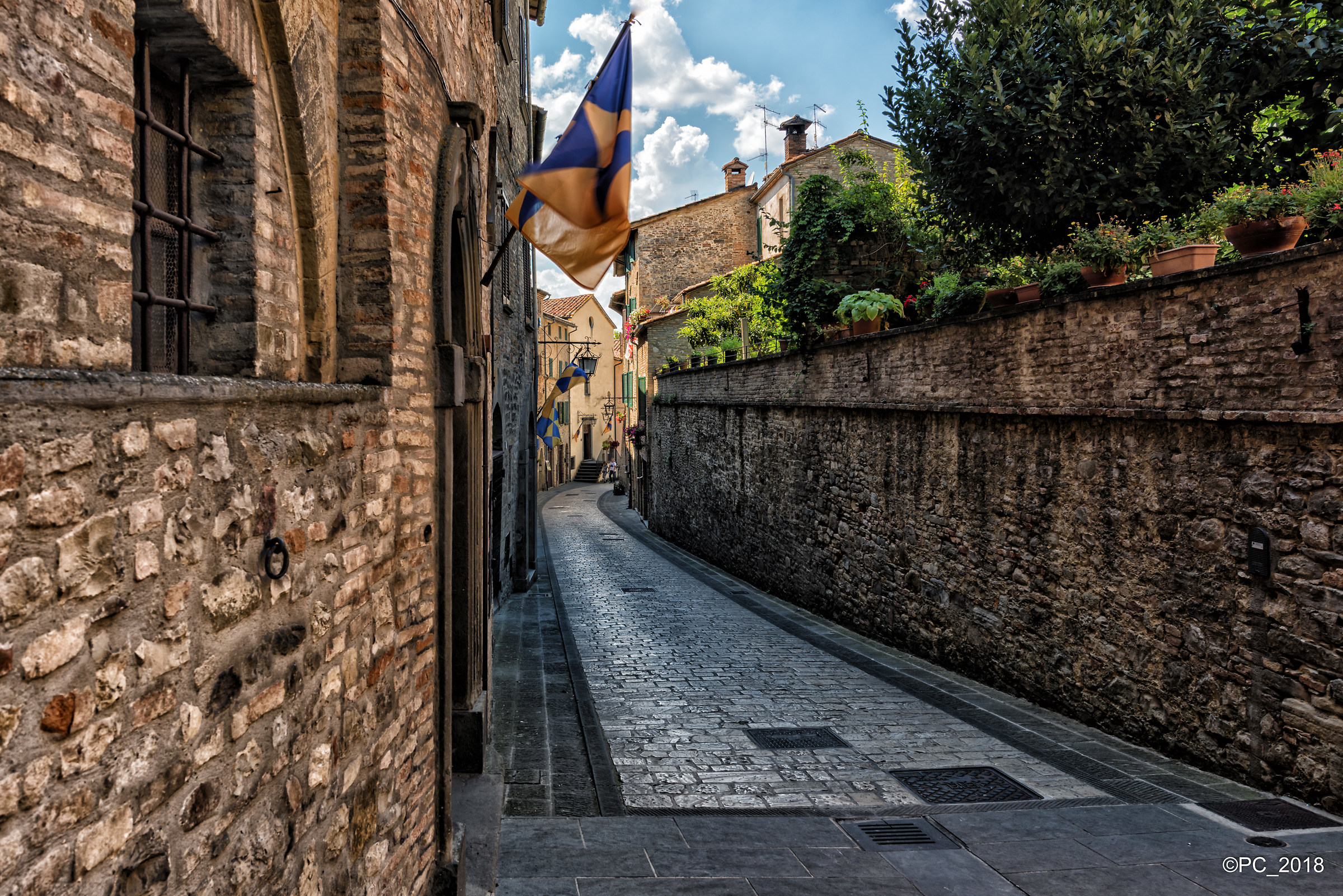 Montone 004