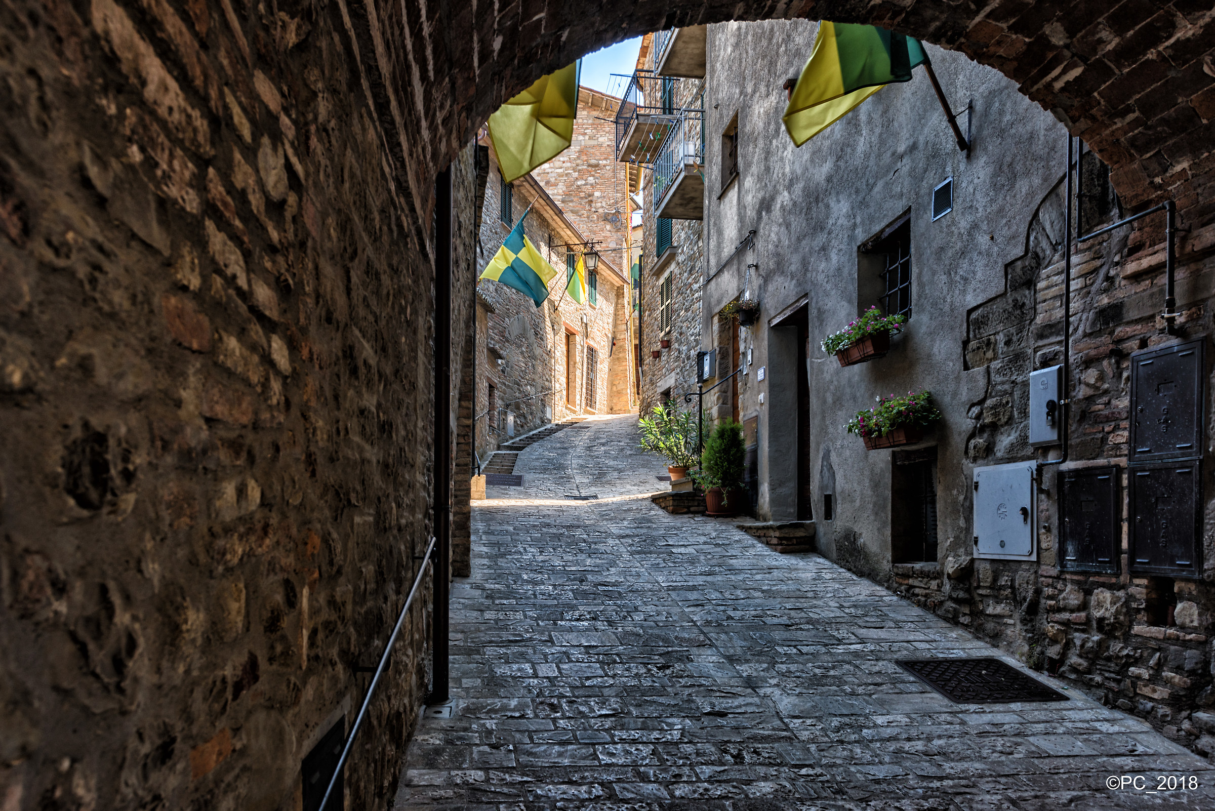 Montone 009