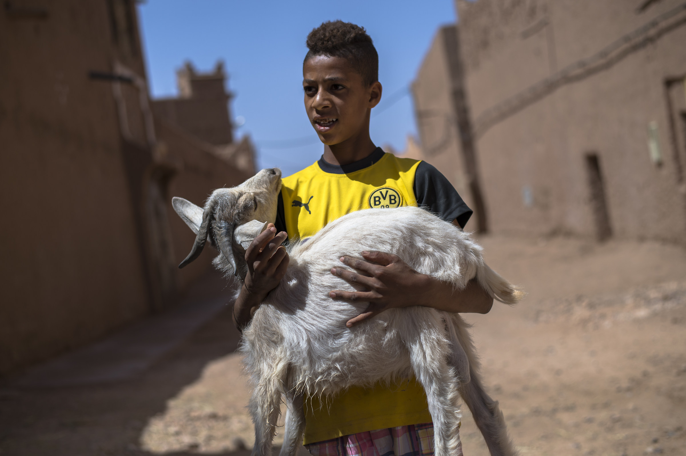 Goats and mud houses