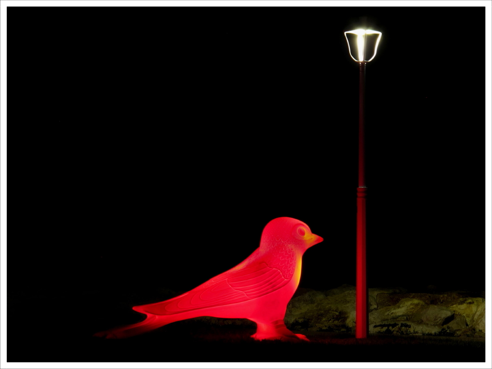 Night art installation in S. B. Tto d. Tronto_1