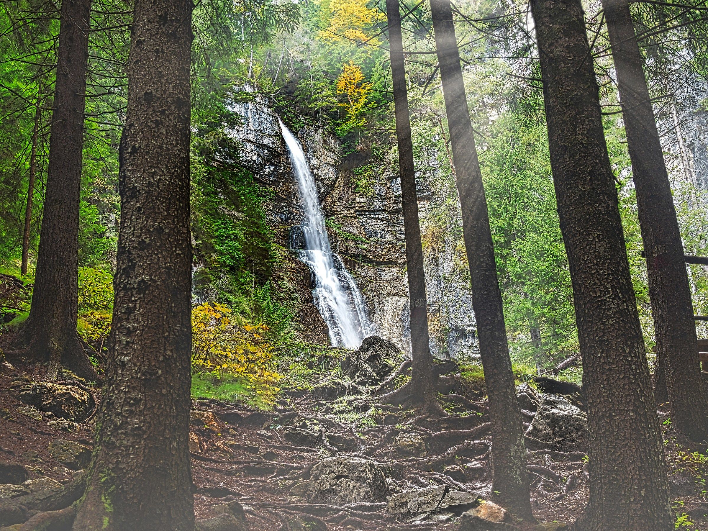 All'inizio dell'autunno