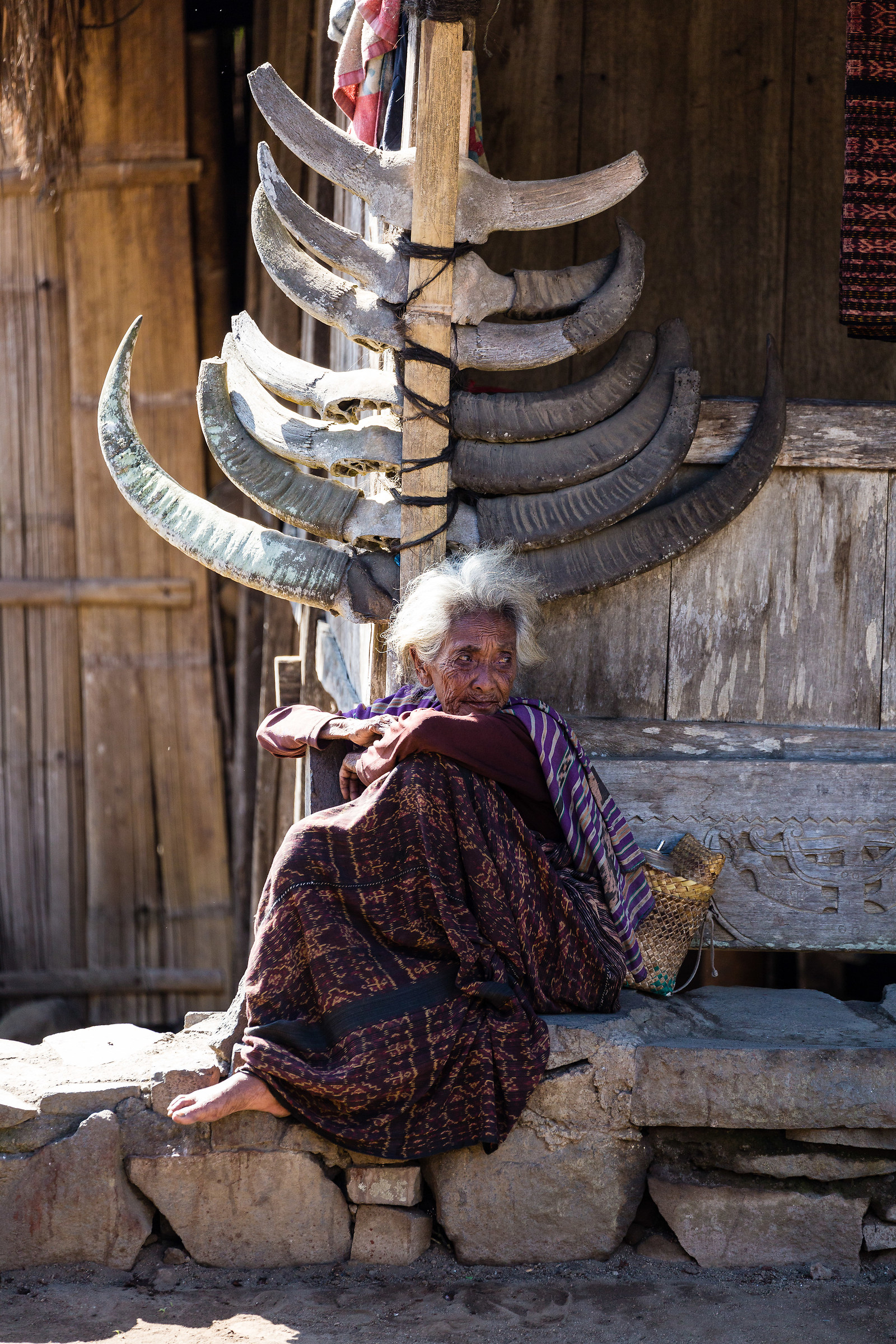 All'ombra dell'ultimo sole