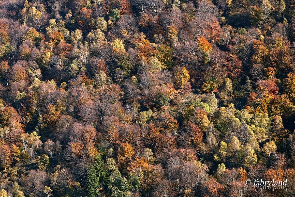 sinfonia d'autunno