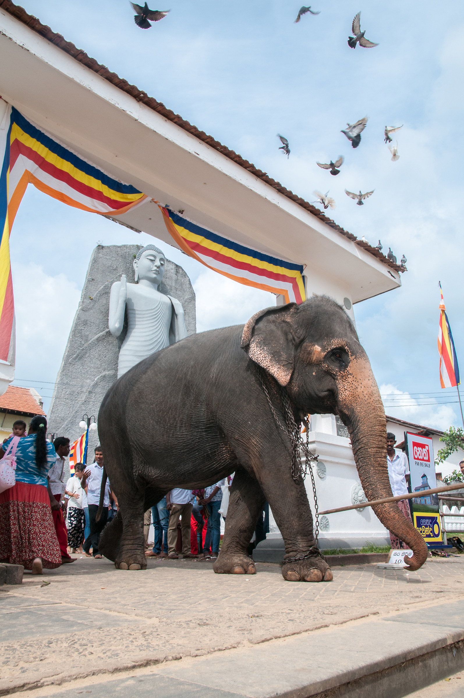 Cattività nel tempio