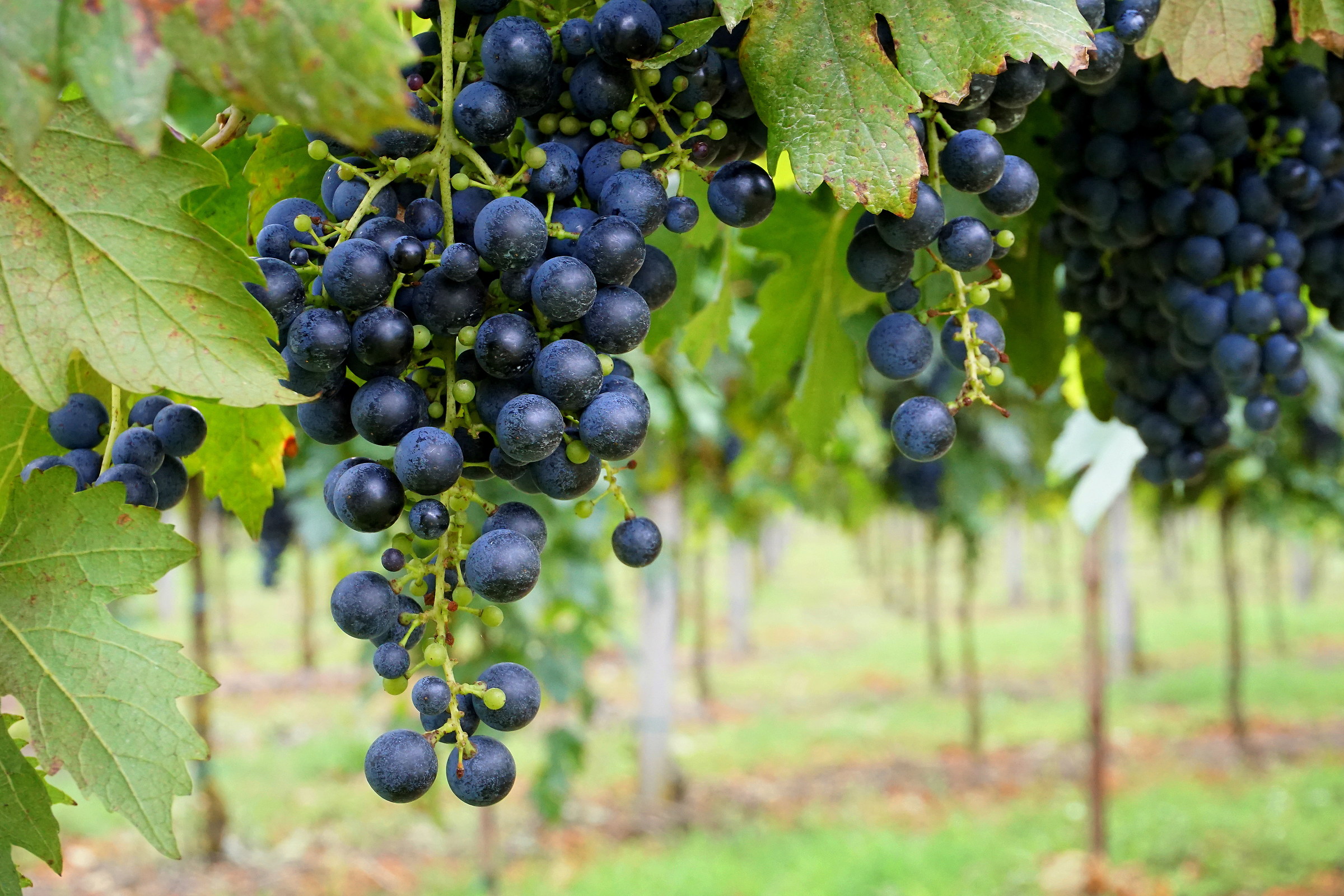 22 weeks Autumn Equinox