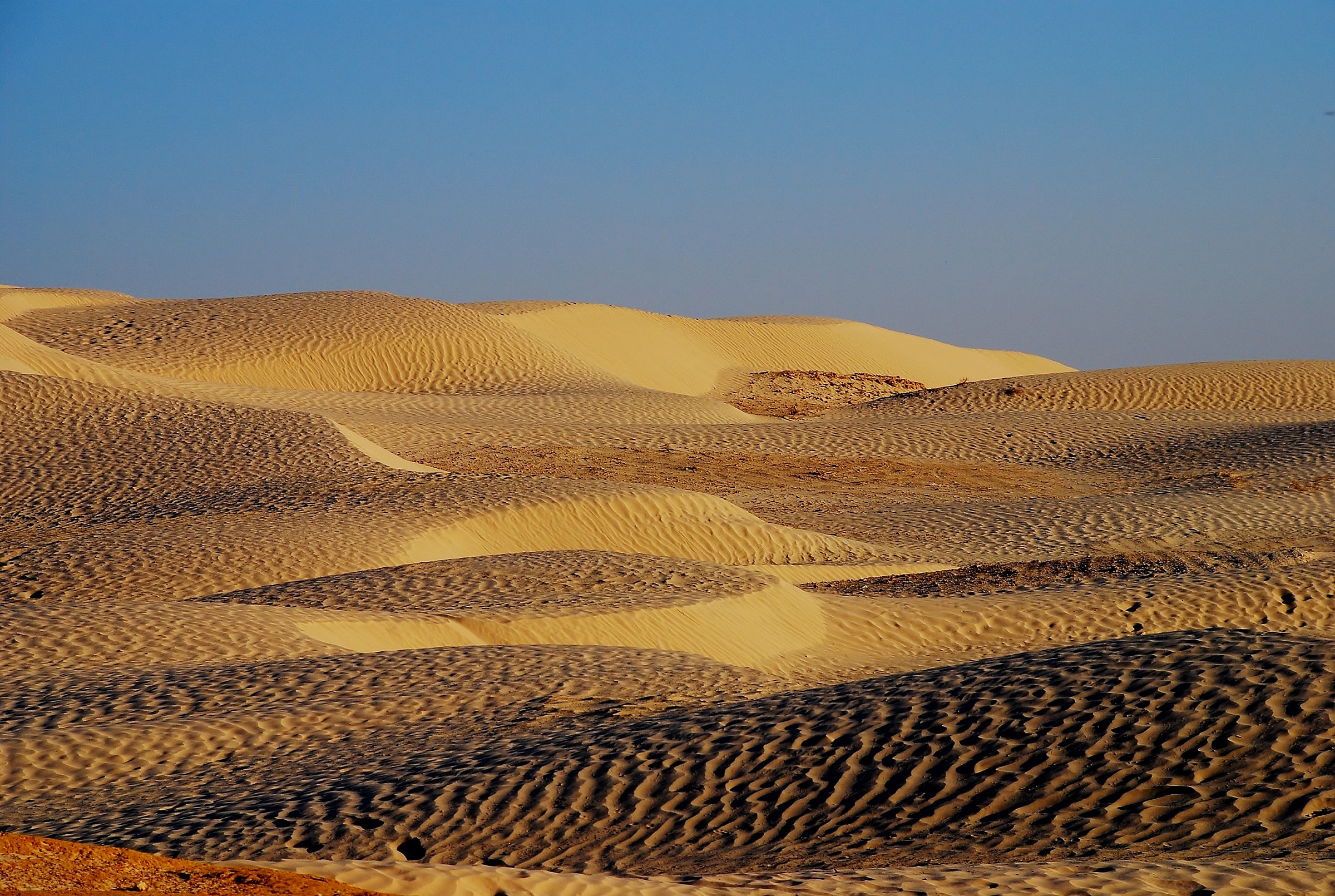 Yellow desert - dune