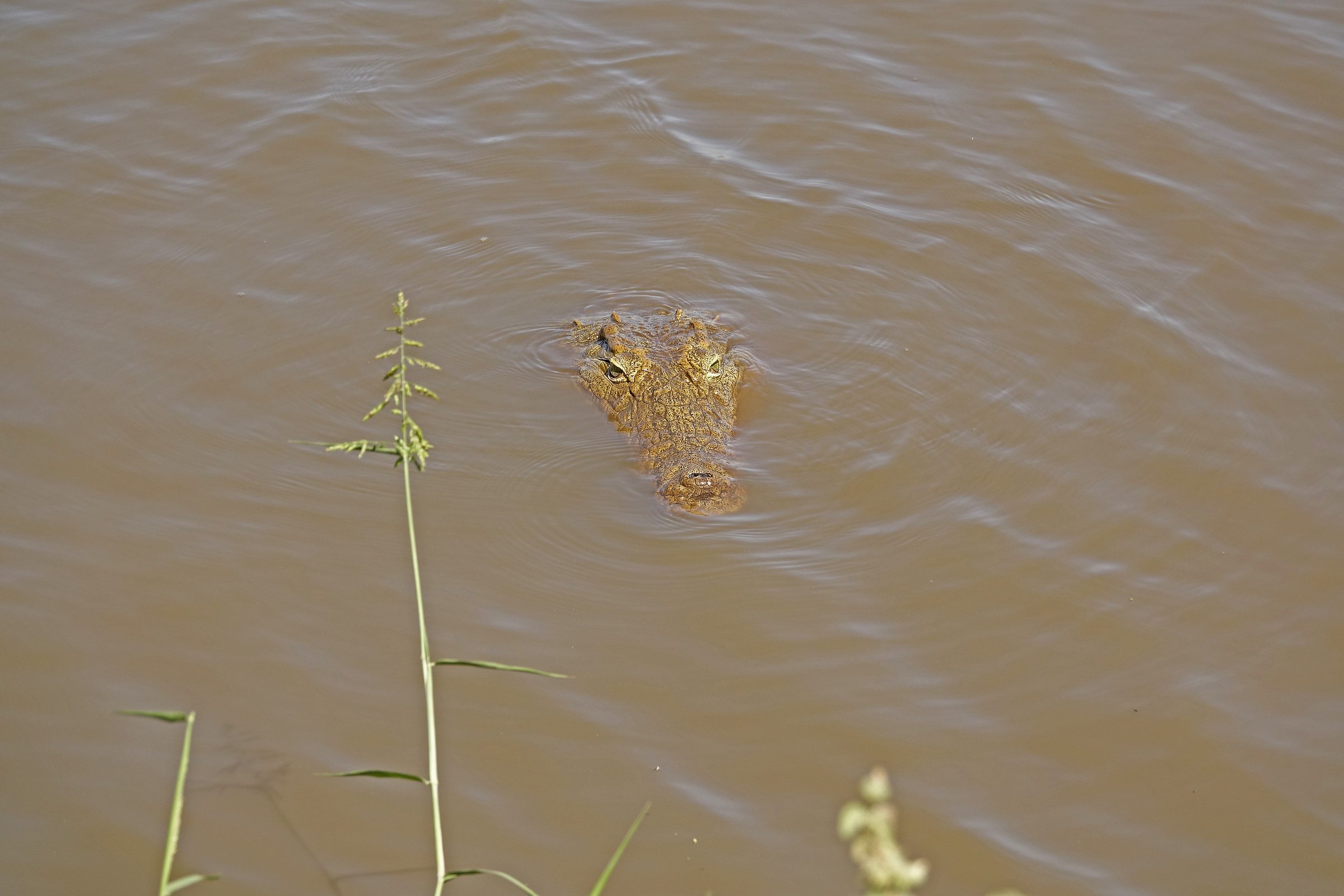 South Africa-Come on, that water is hot