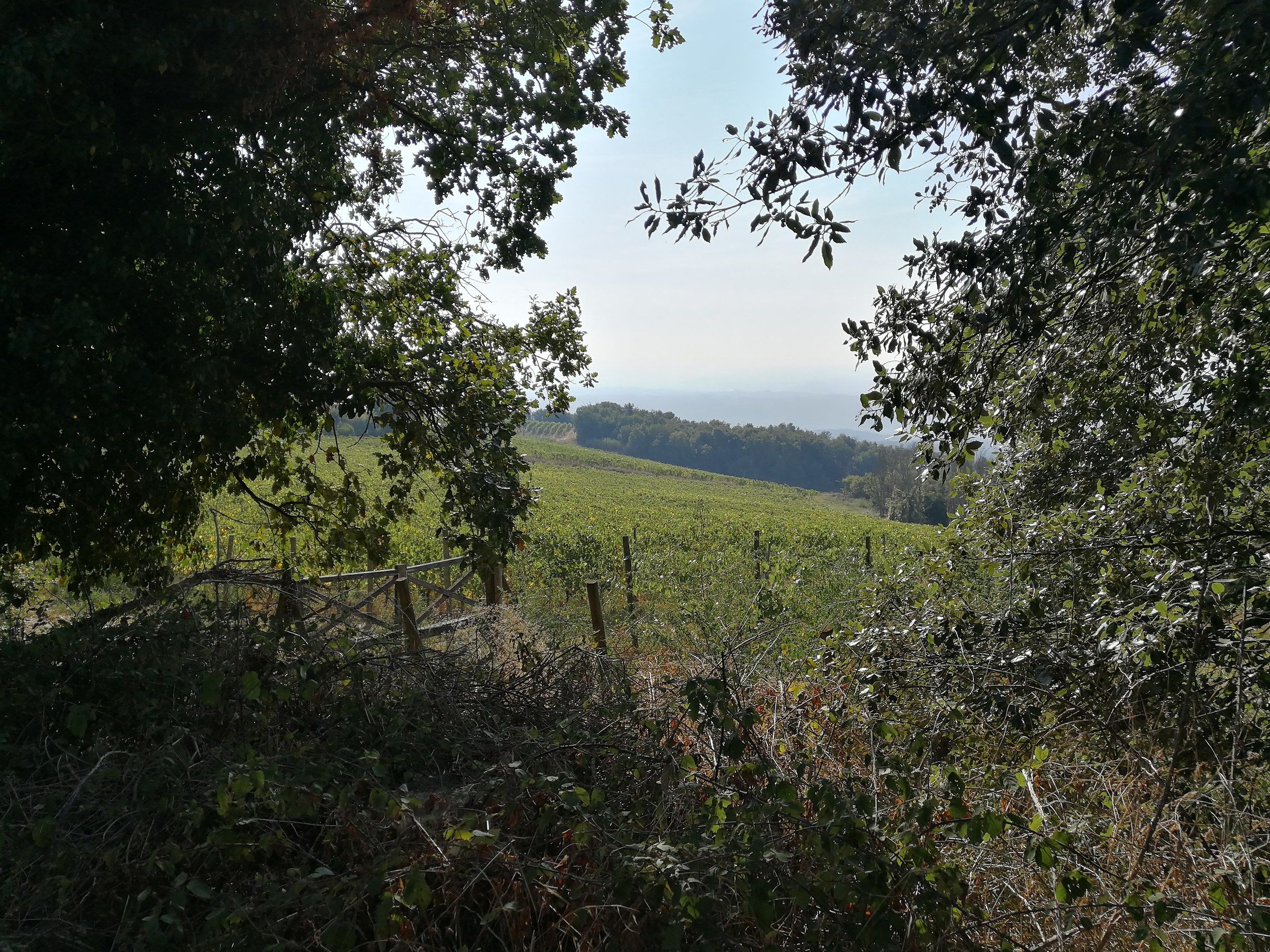 Coolly foreshortening in the Tuscan hills