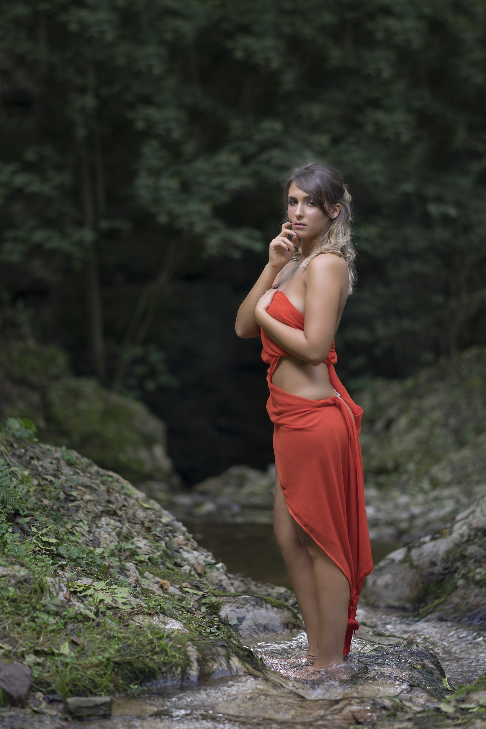 The Magic of the Forest