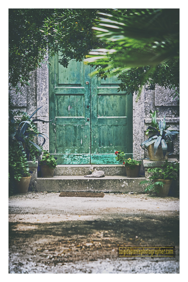 Alone to play in the avenues of an immense garden