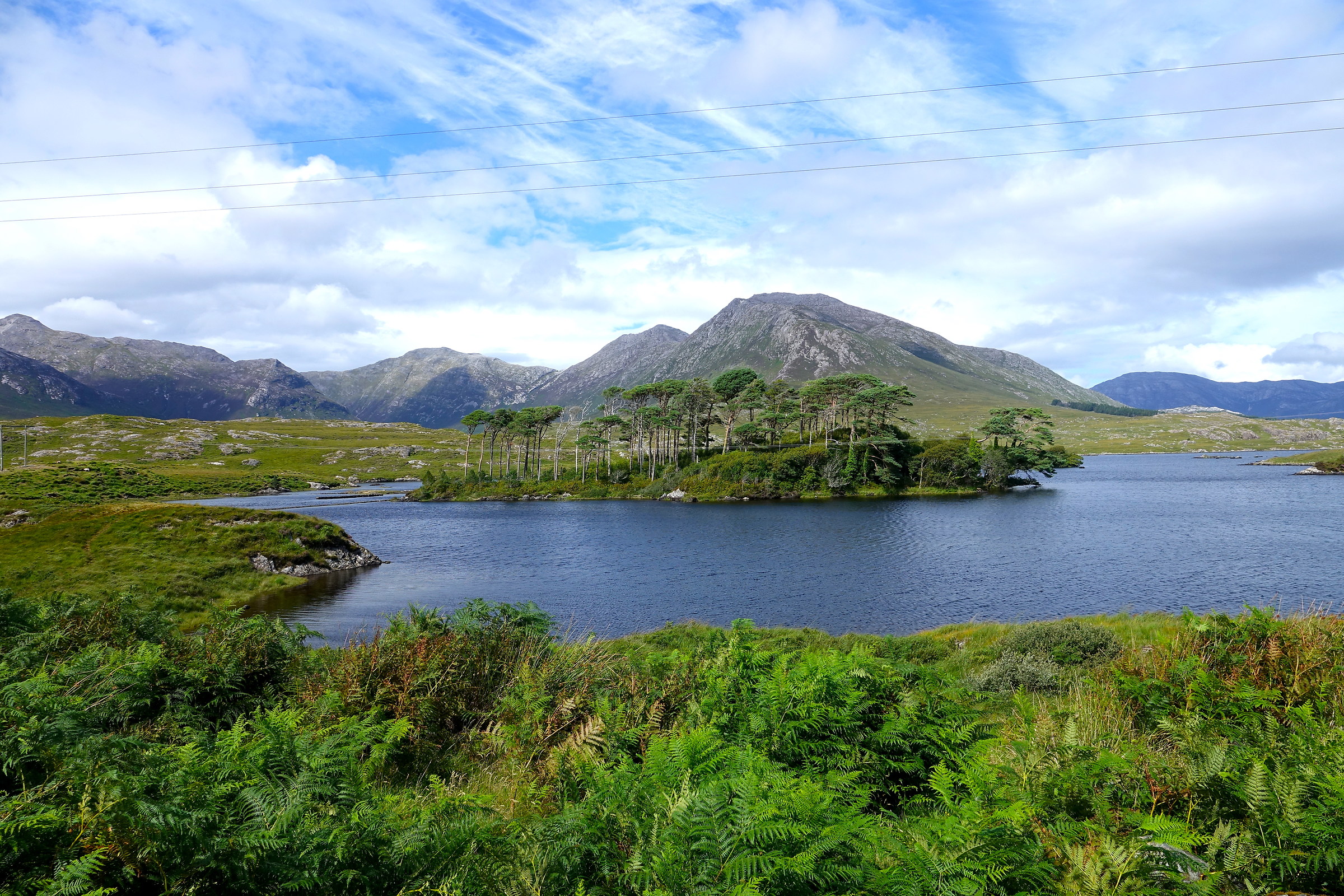 Isola dei pini , parco nazionale del Connemara,Irlanda