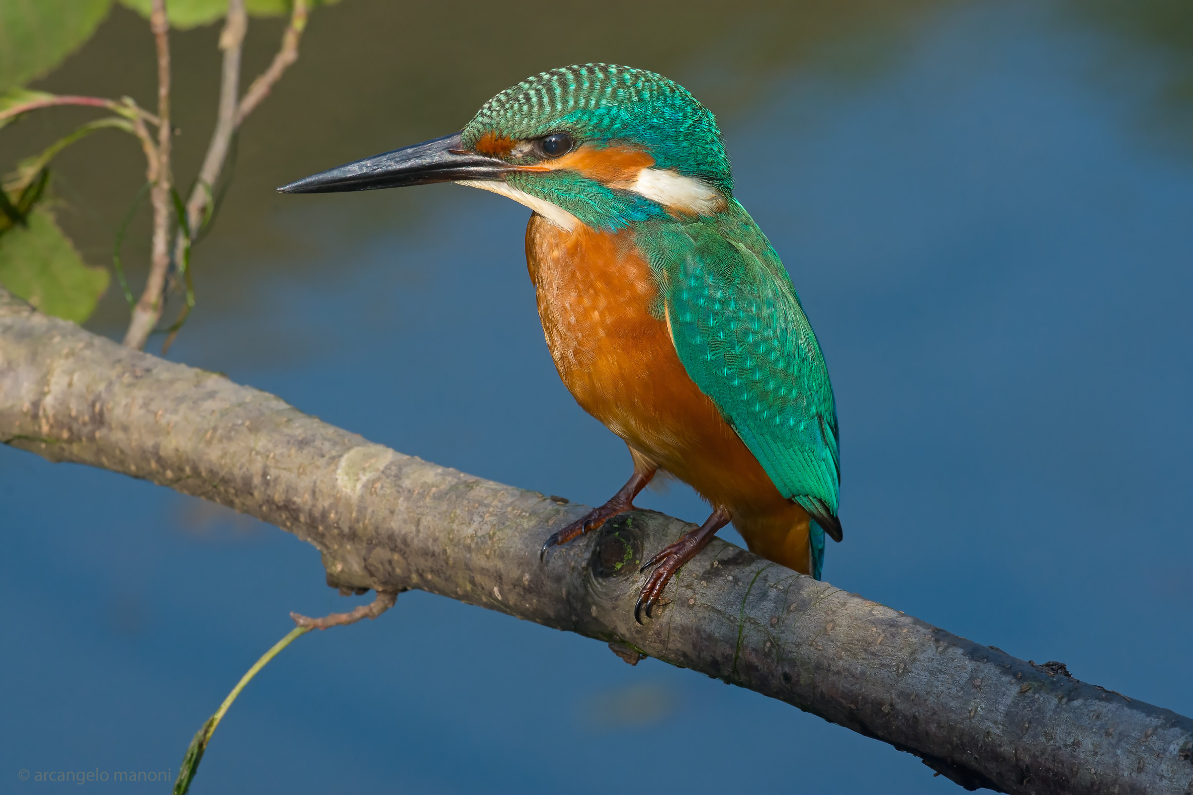 The waiting for Martin